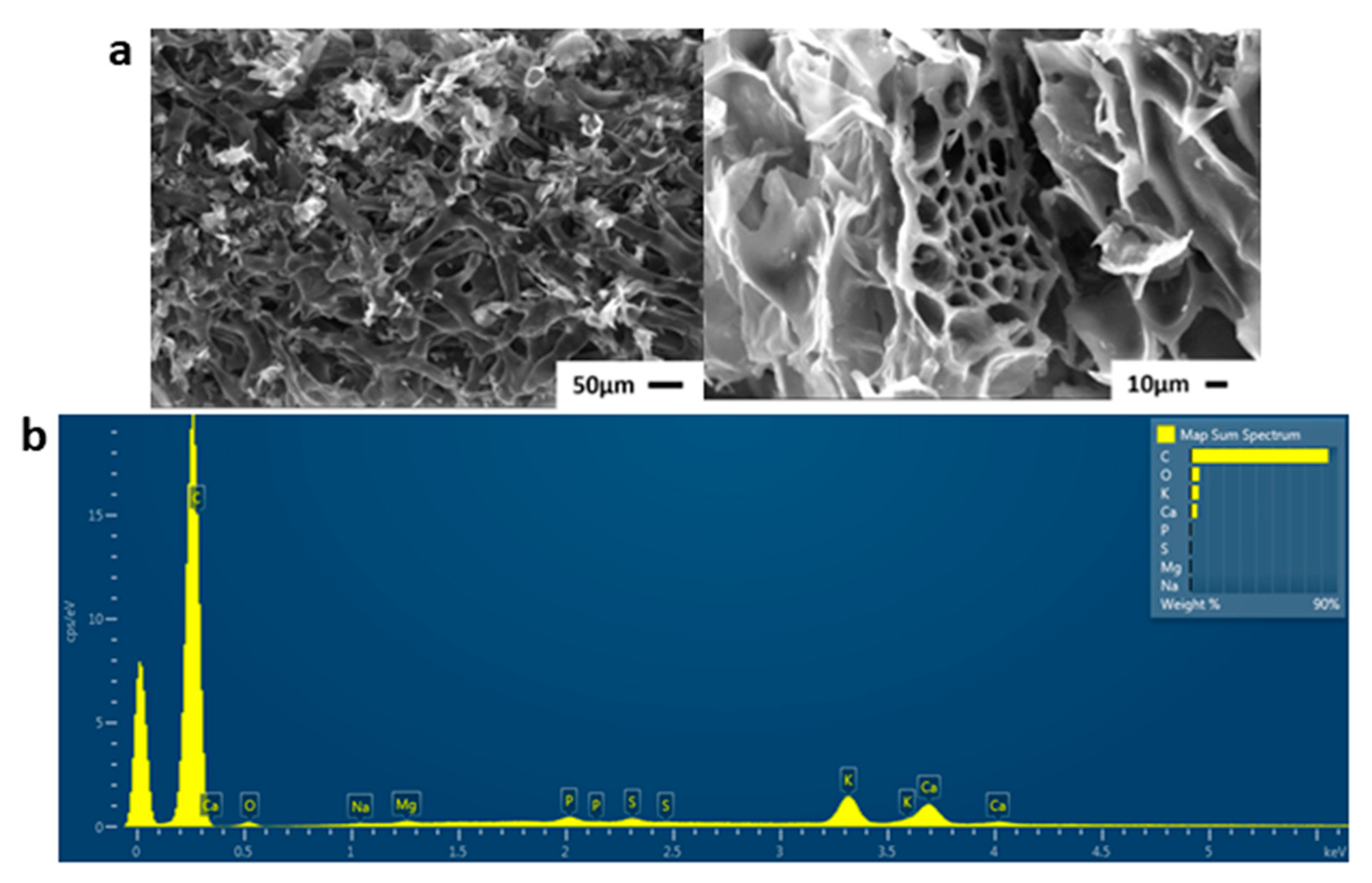 Molecules 29 03967 g006 Molecules 29 03967 g006