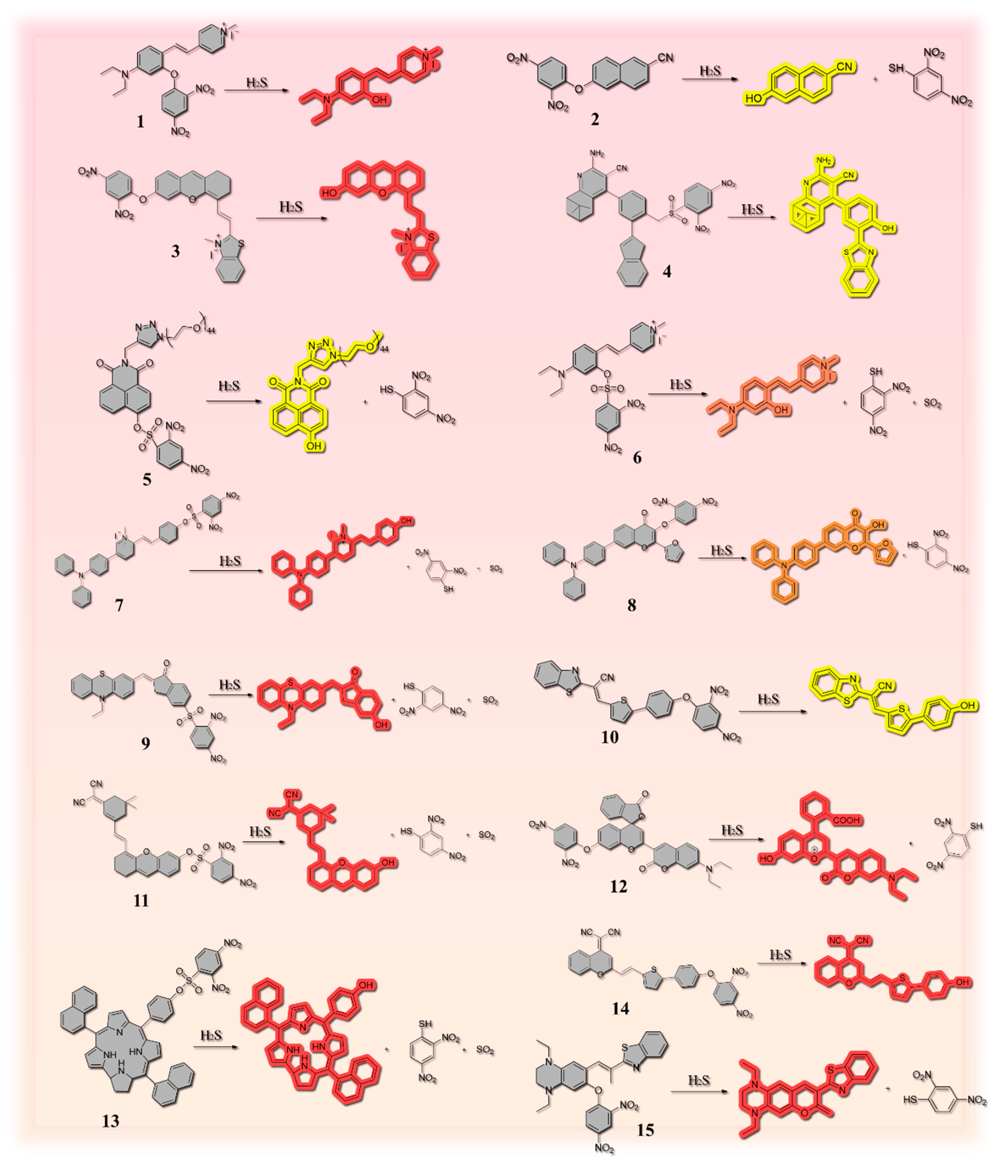 Molecules 29 03973 g002