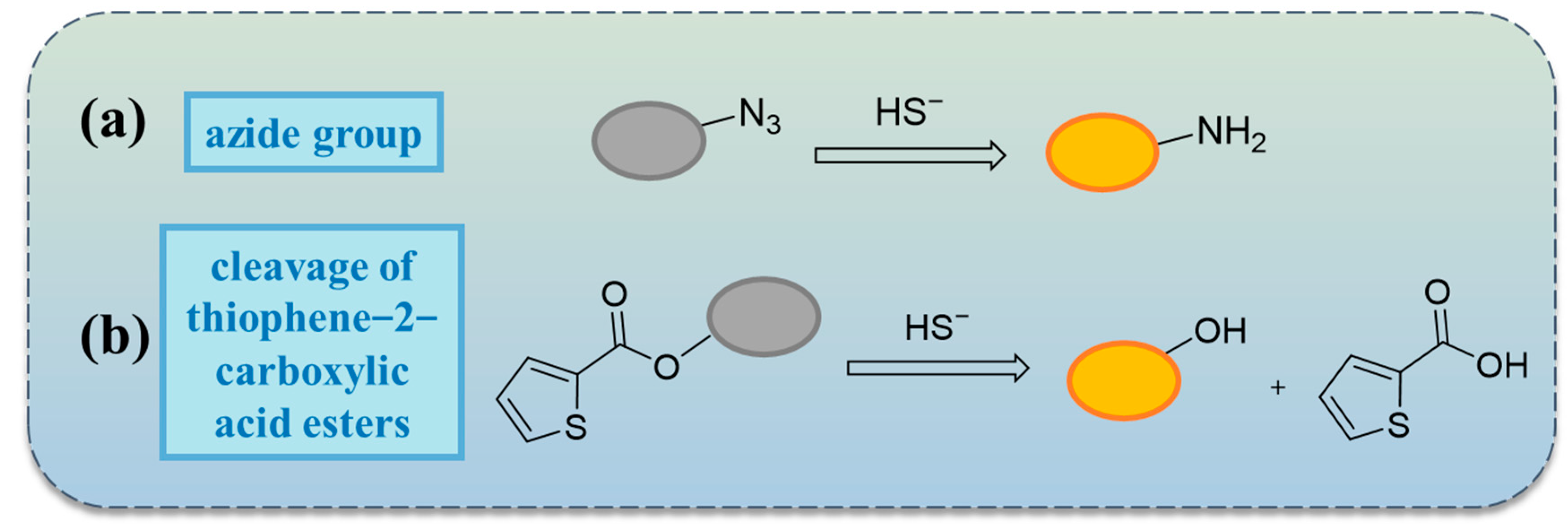 Molecules 29 03973 sch004
