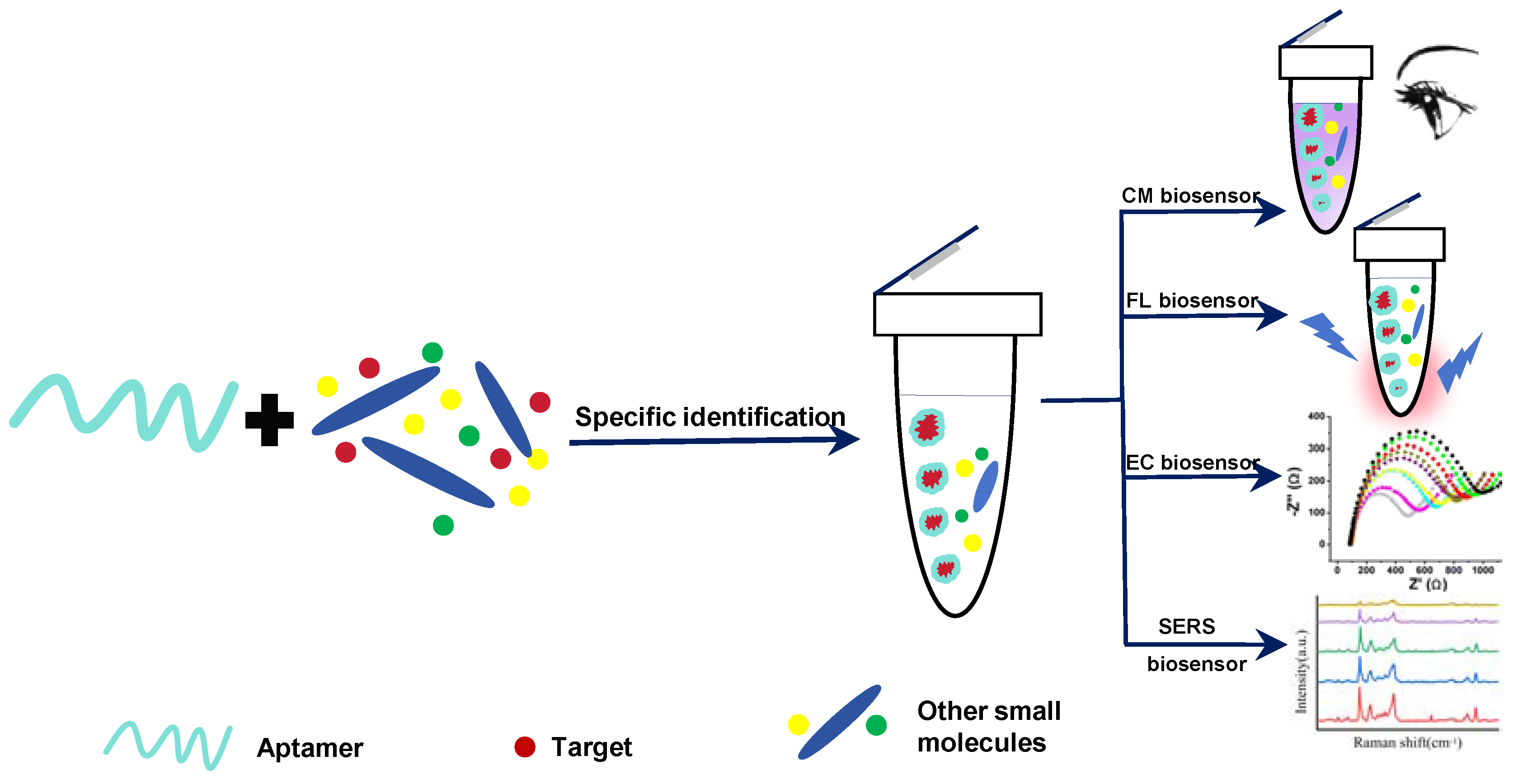 Molecules 29 03974 sch001