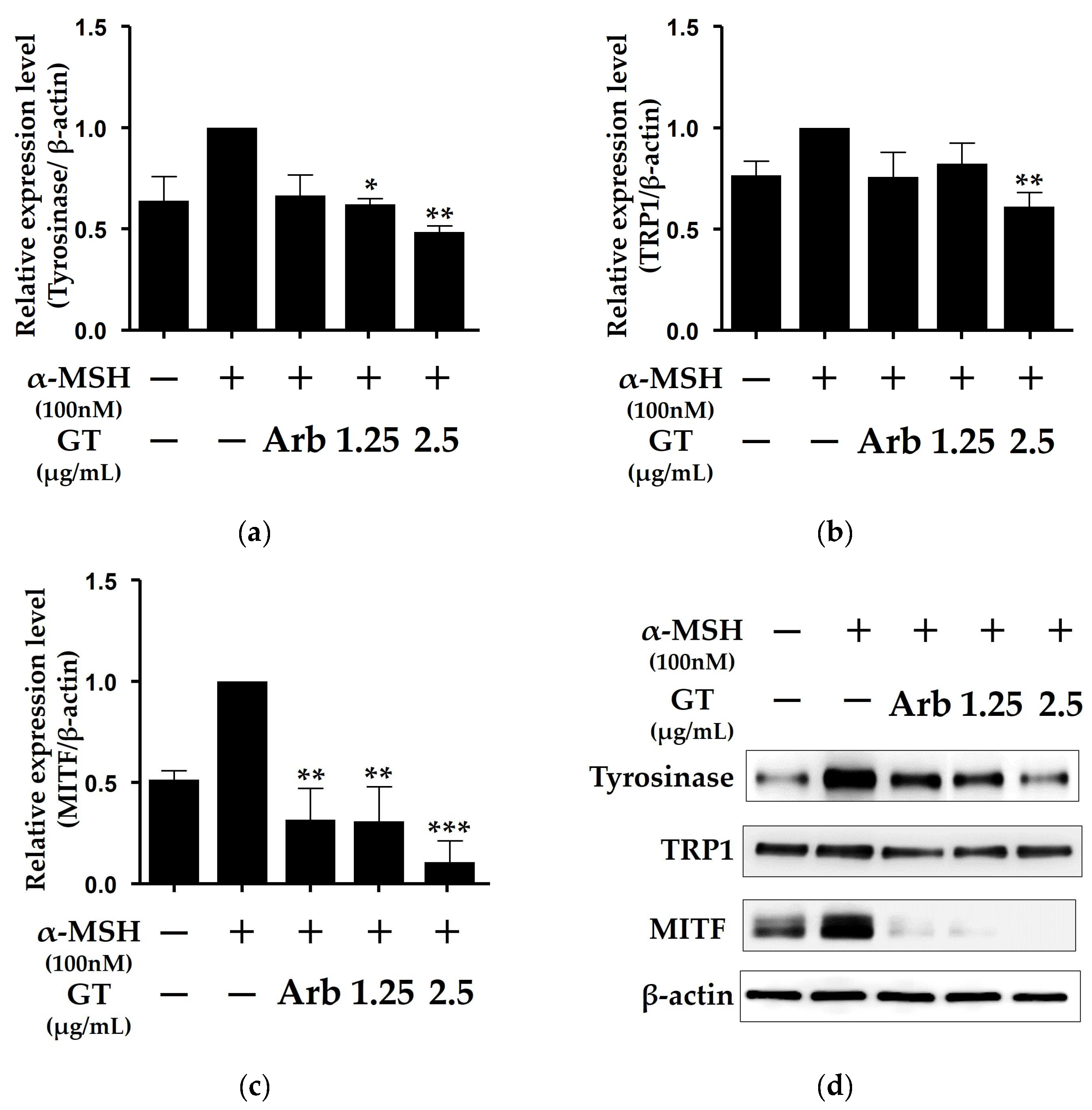 Molecules 29 03976 g002