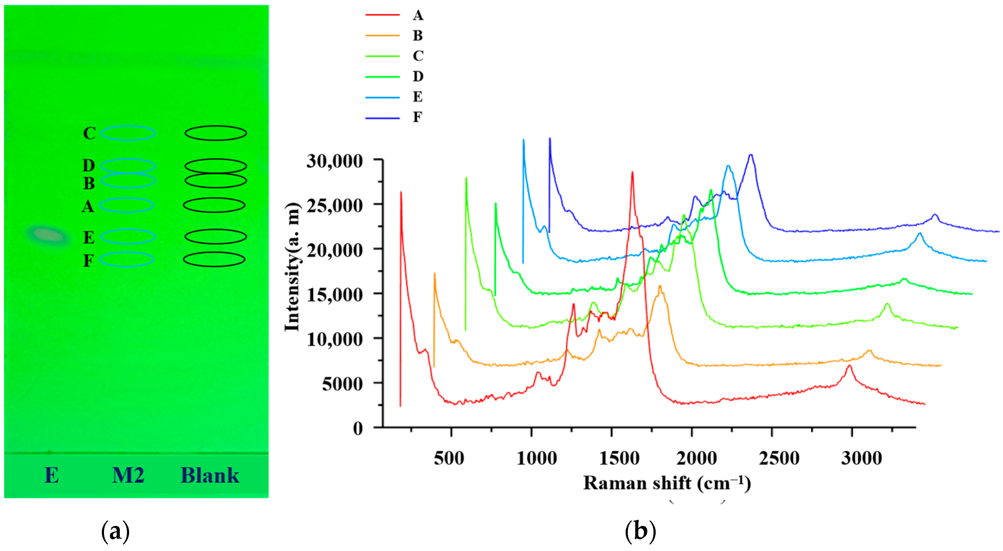 Molecules 29 03977 g001