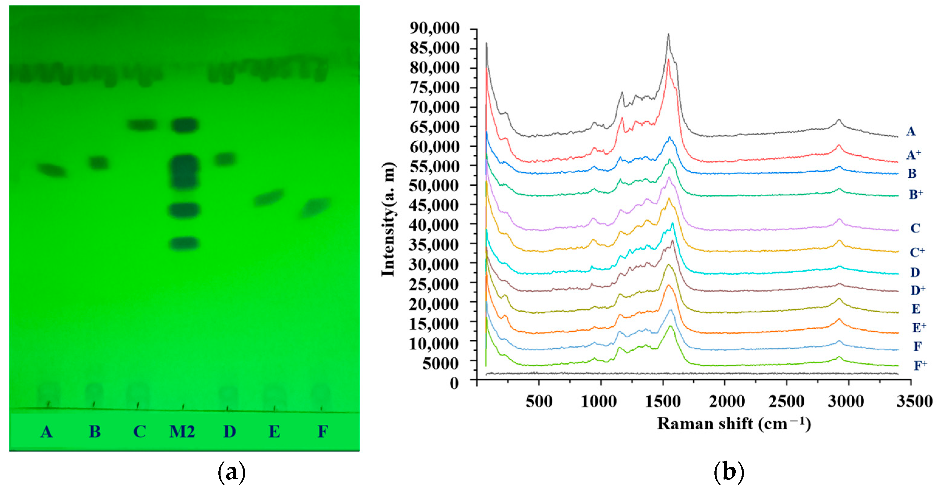 Molecules 29 03977 g004