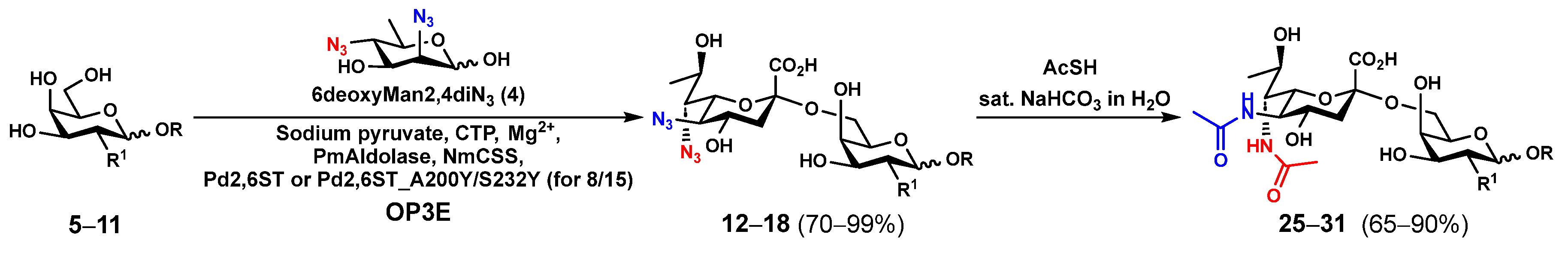 Molecules 29 03980 sch001 Molecules 29 03980 sch001