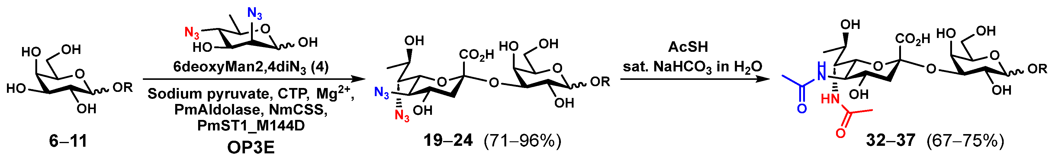 Molecules 29 03980 sch002 Molecules 29 03980 sch002