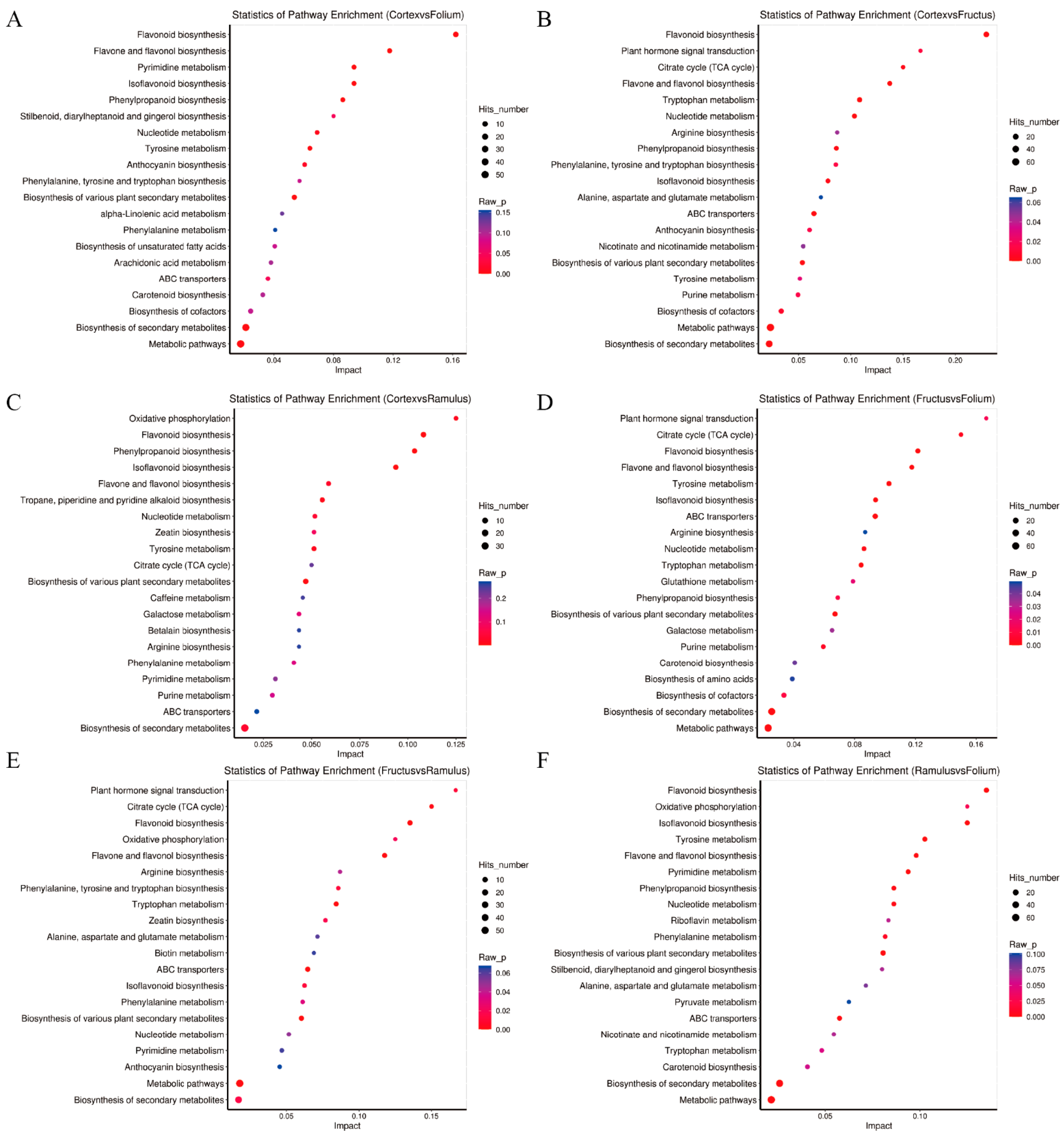 Molecules 29 03981 g008