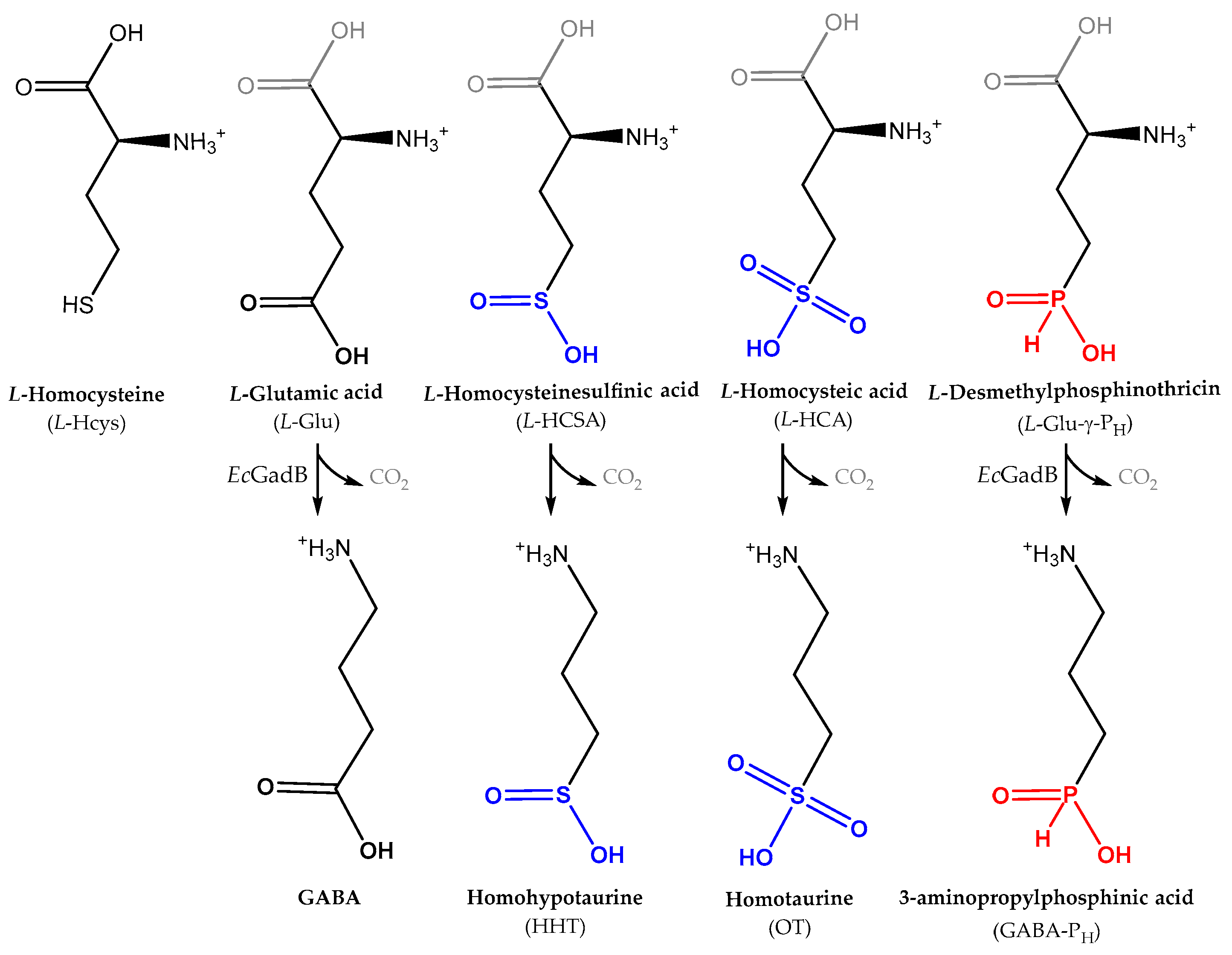 Molecules 29 03985 g001