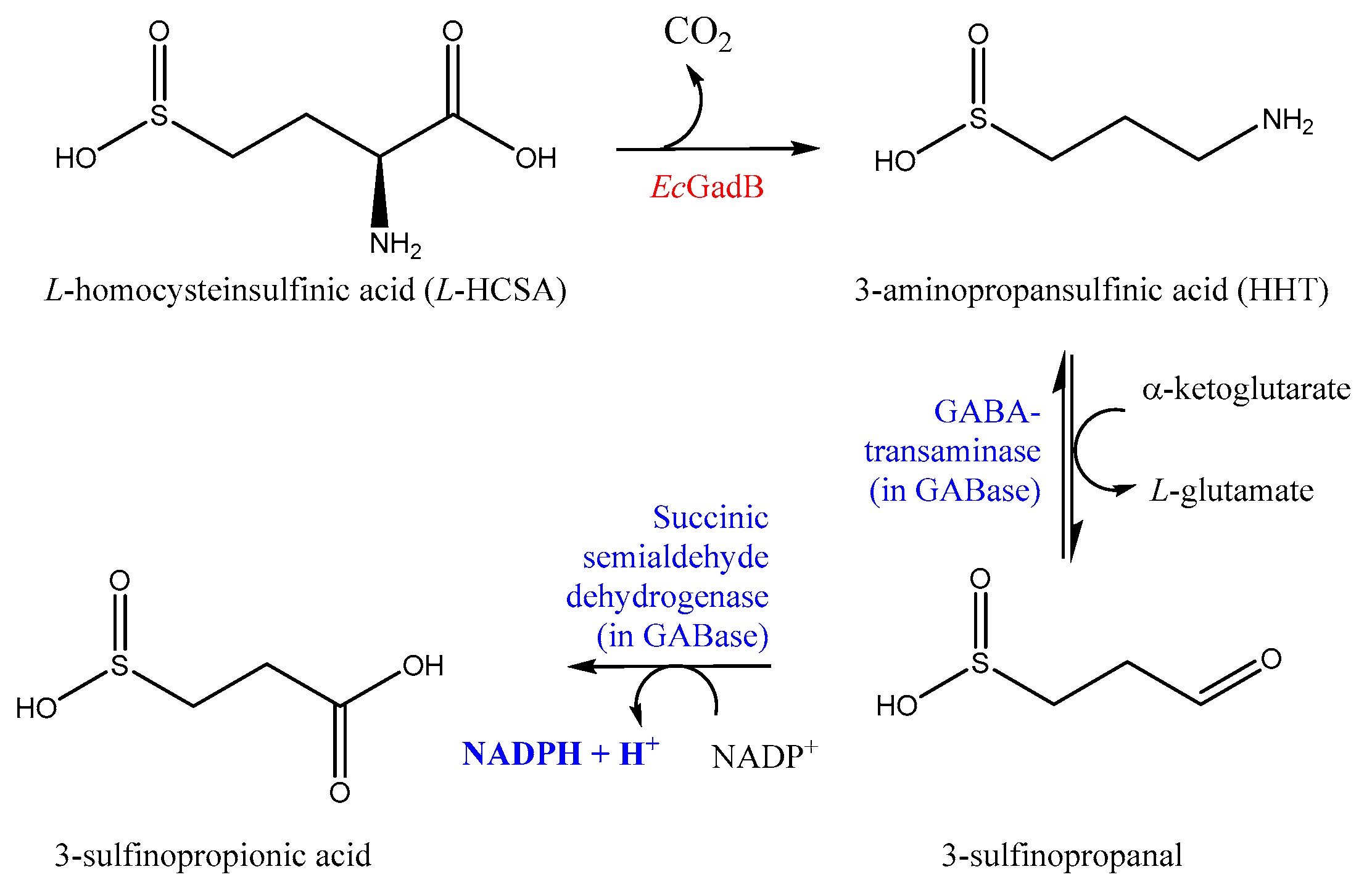 Molecules 29 03985 sch001