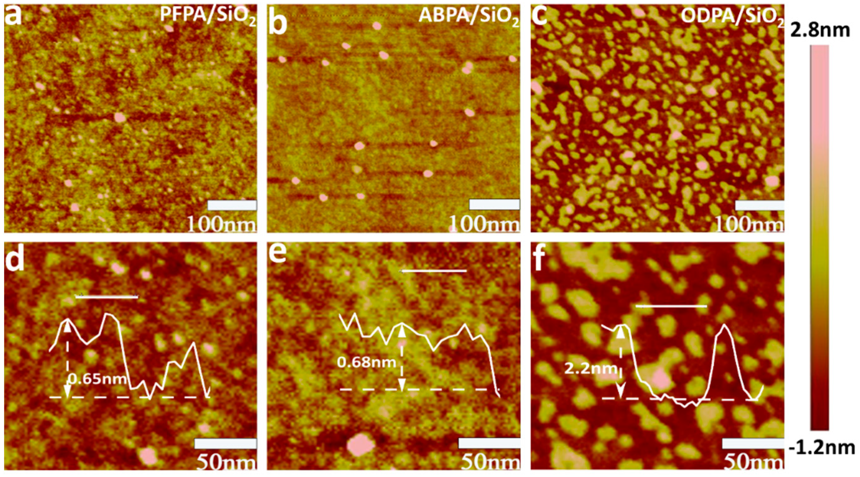 Molecules 29 03988 g003