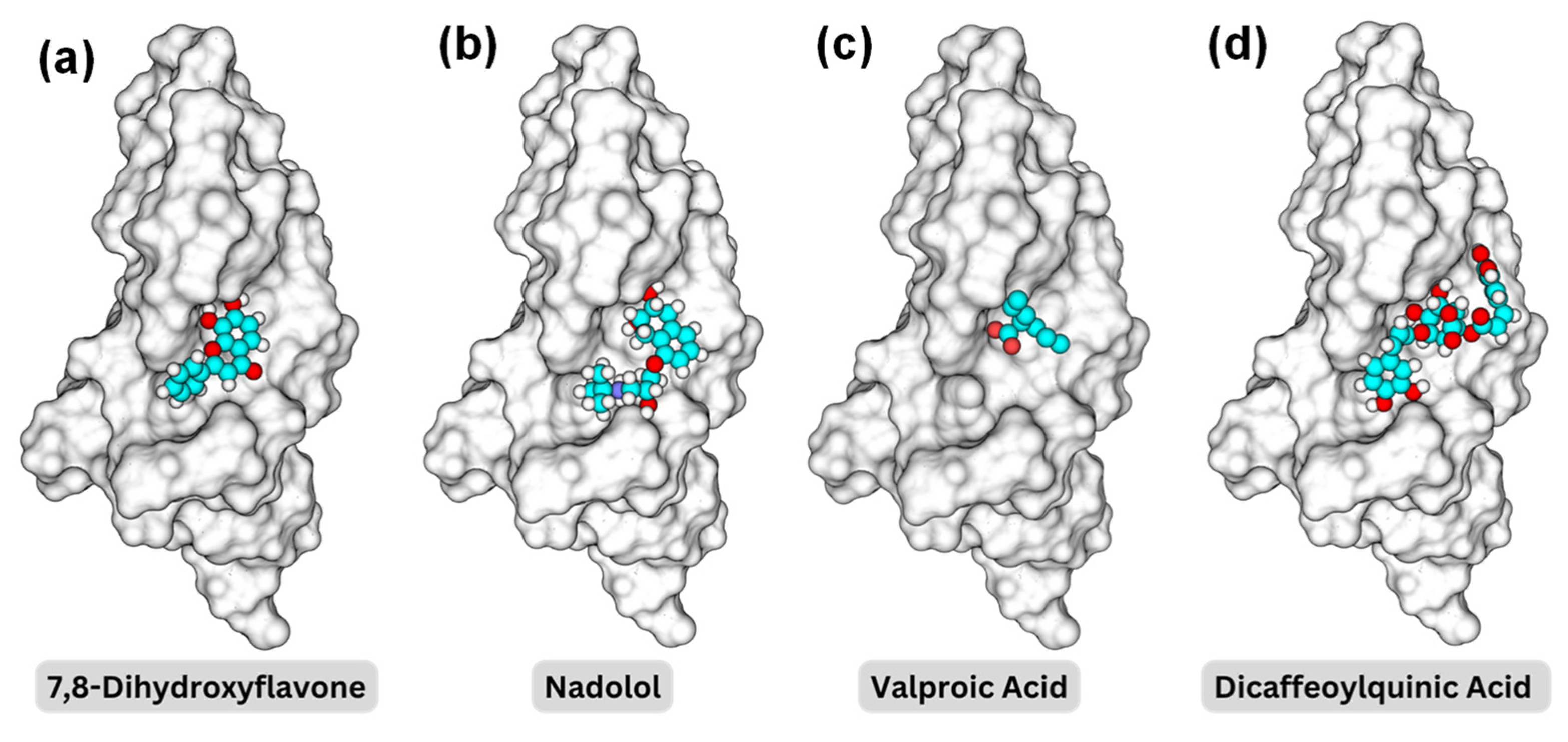 Molecules 29 03992 g004
