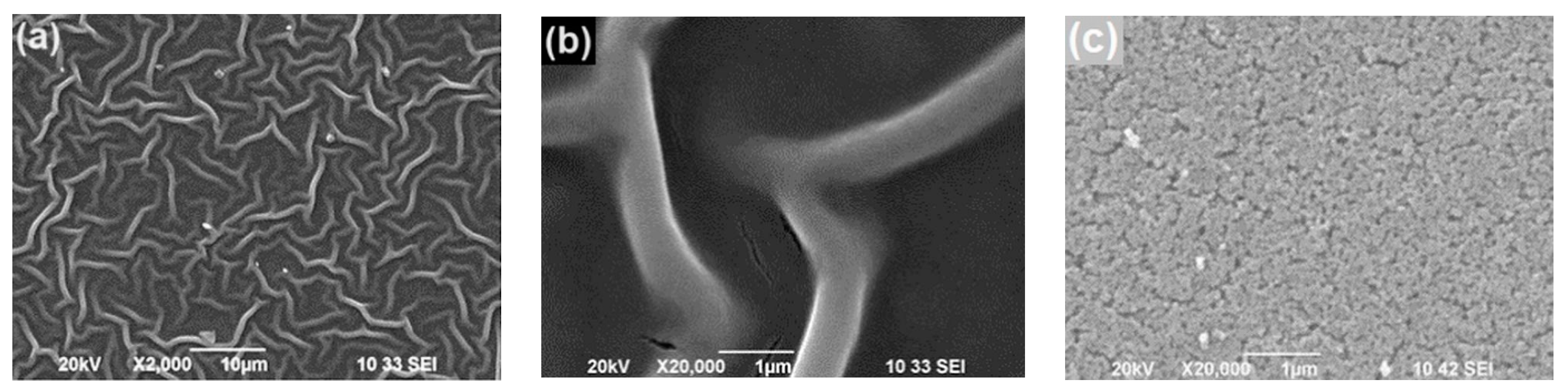 Molecules 29 04005 g001