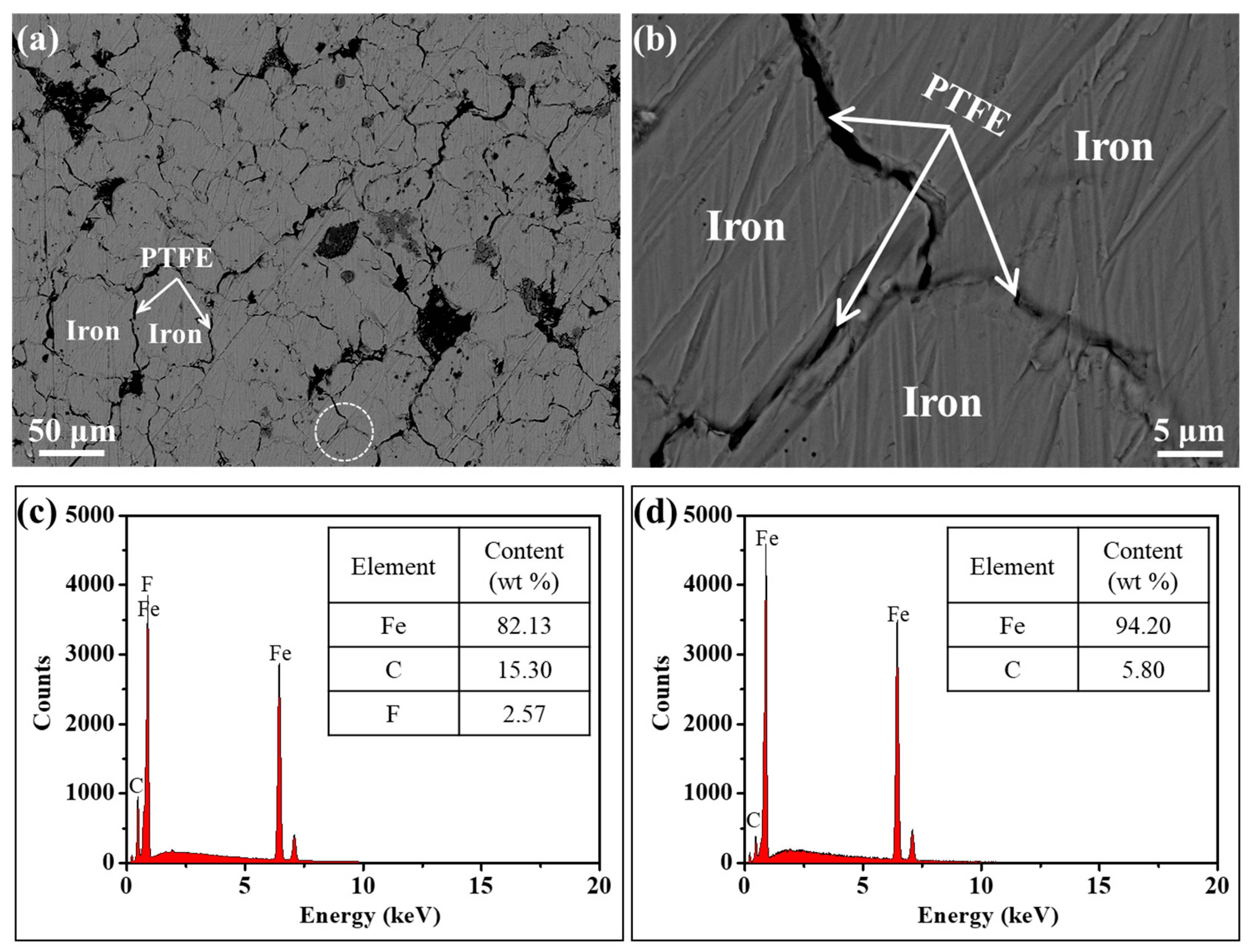Molecules 29 04019 g003