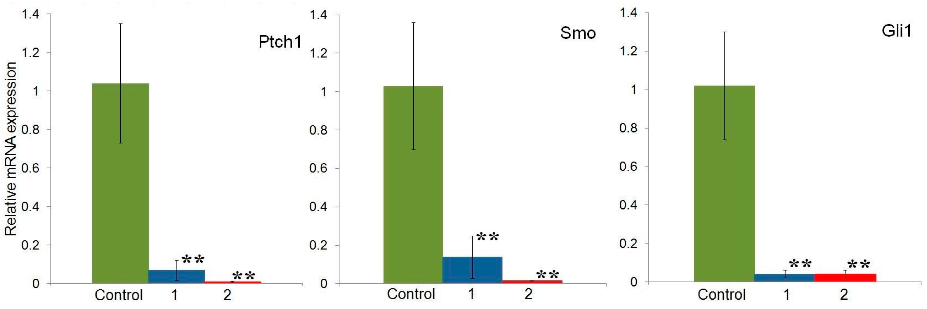 Molecules 29 04026 g005