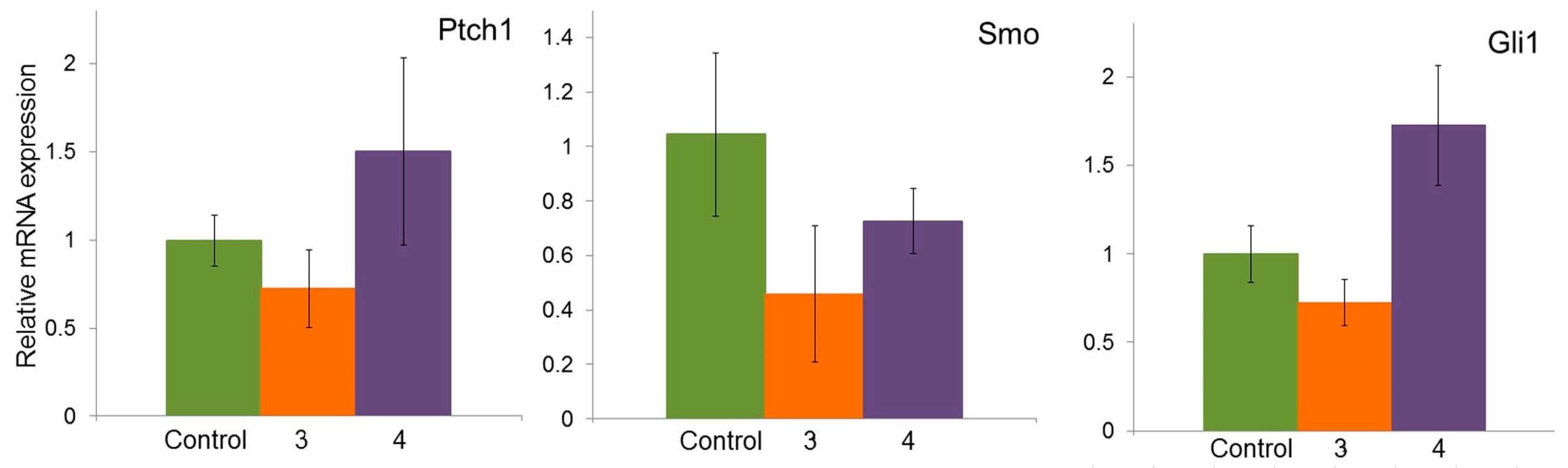 Molecules 29 04026 g007