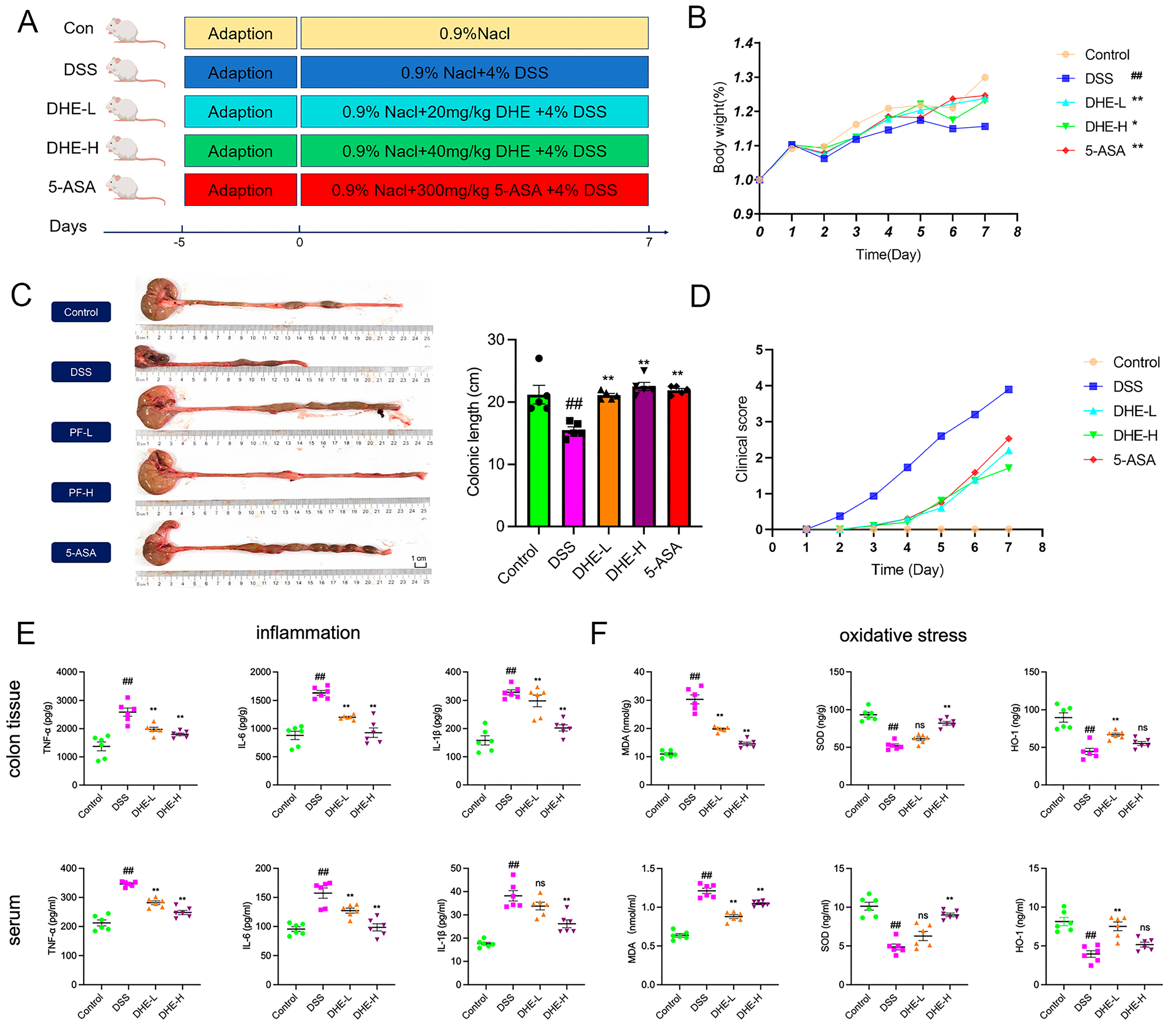 Molecules 29 04031 g001