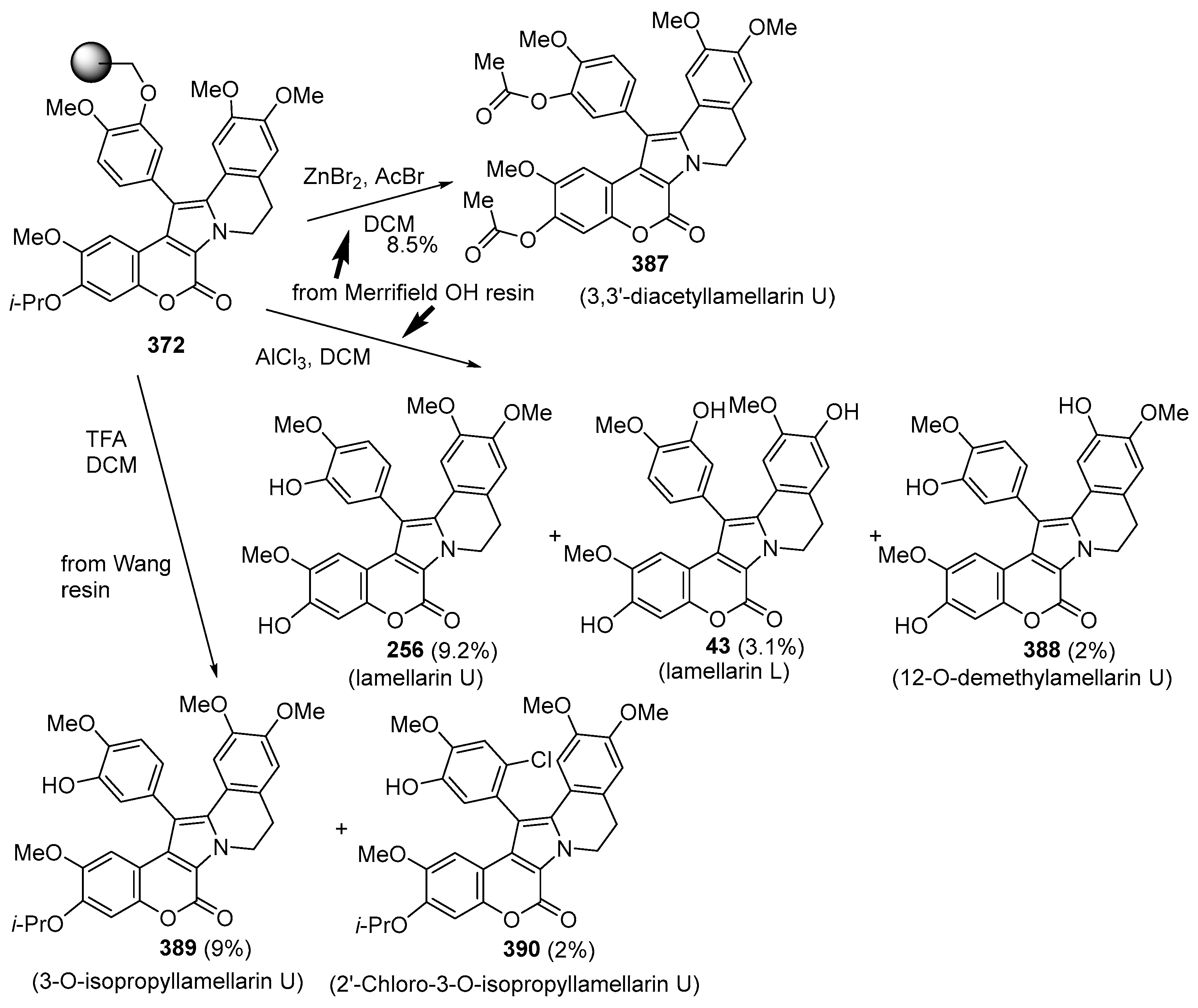 Molecules 29 04032 sch045