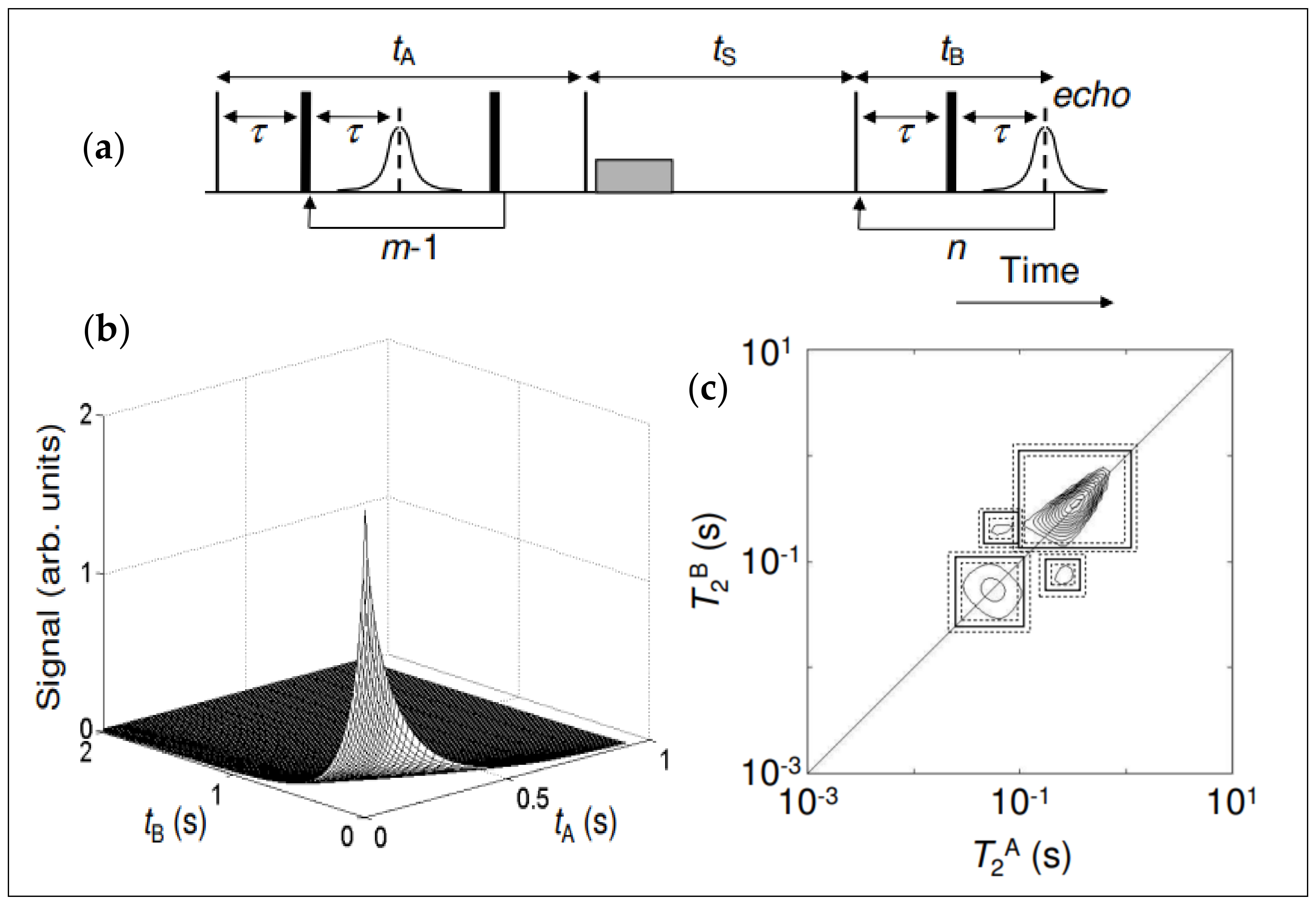 Molecules 29 04038 g002