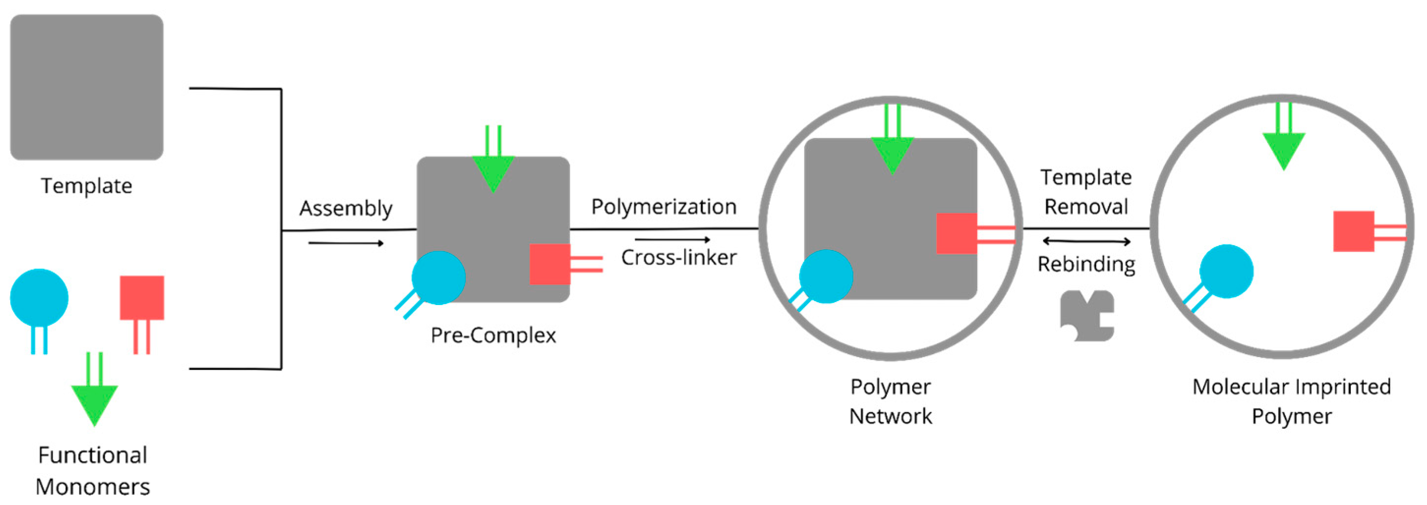 Molecules 29 04043 g001