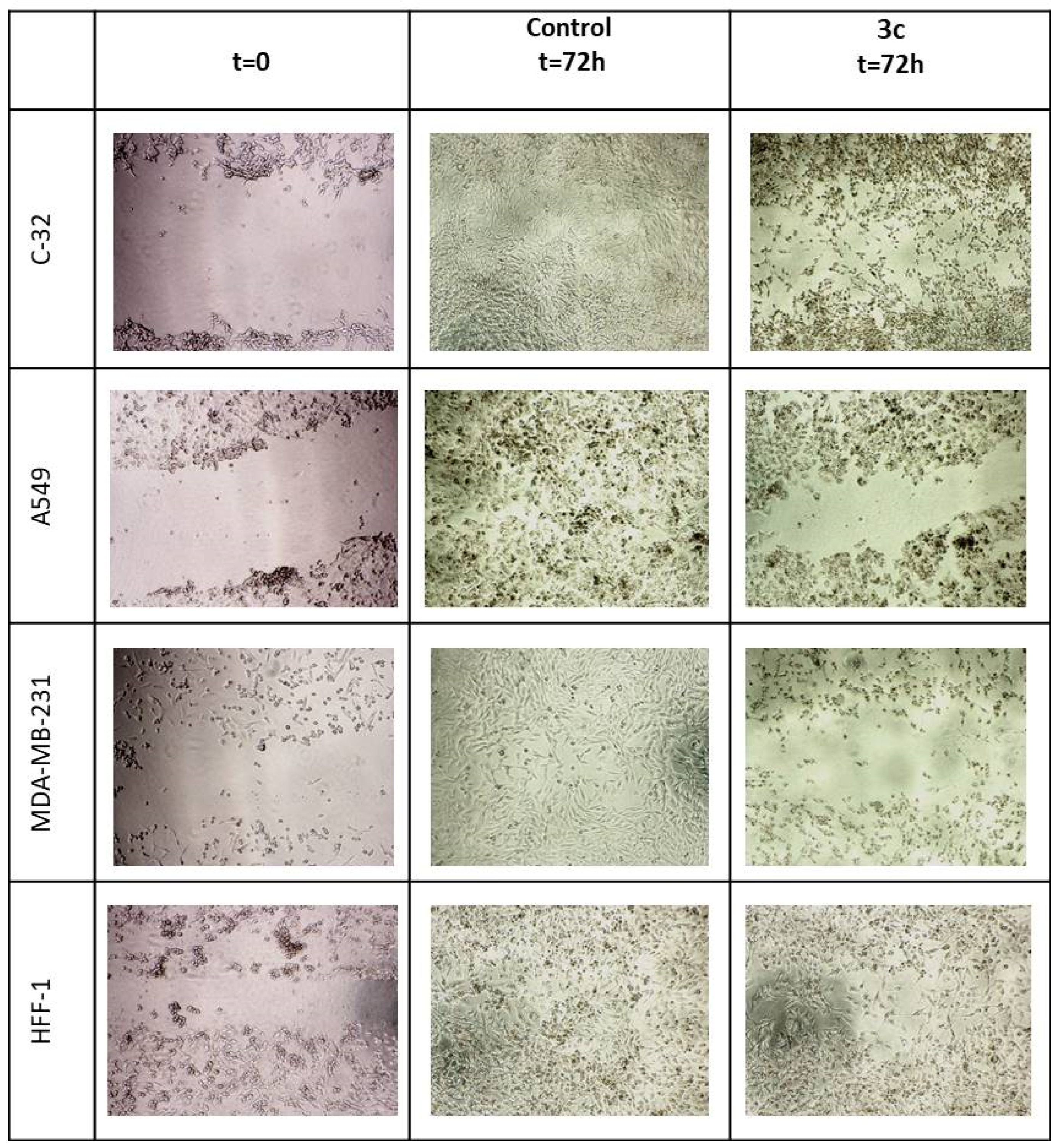 Molecules 29 04044 g002