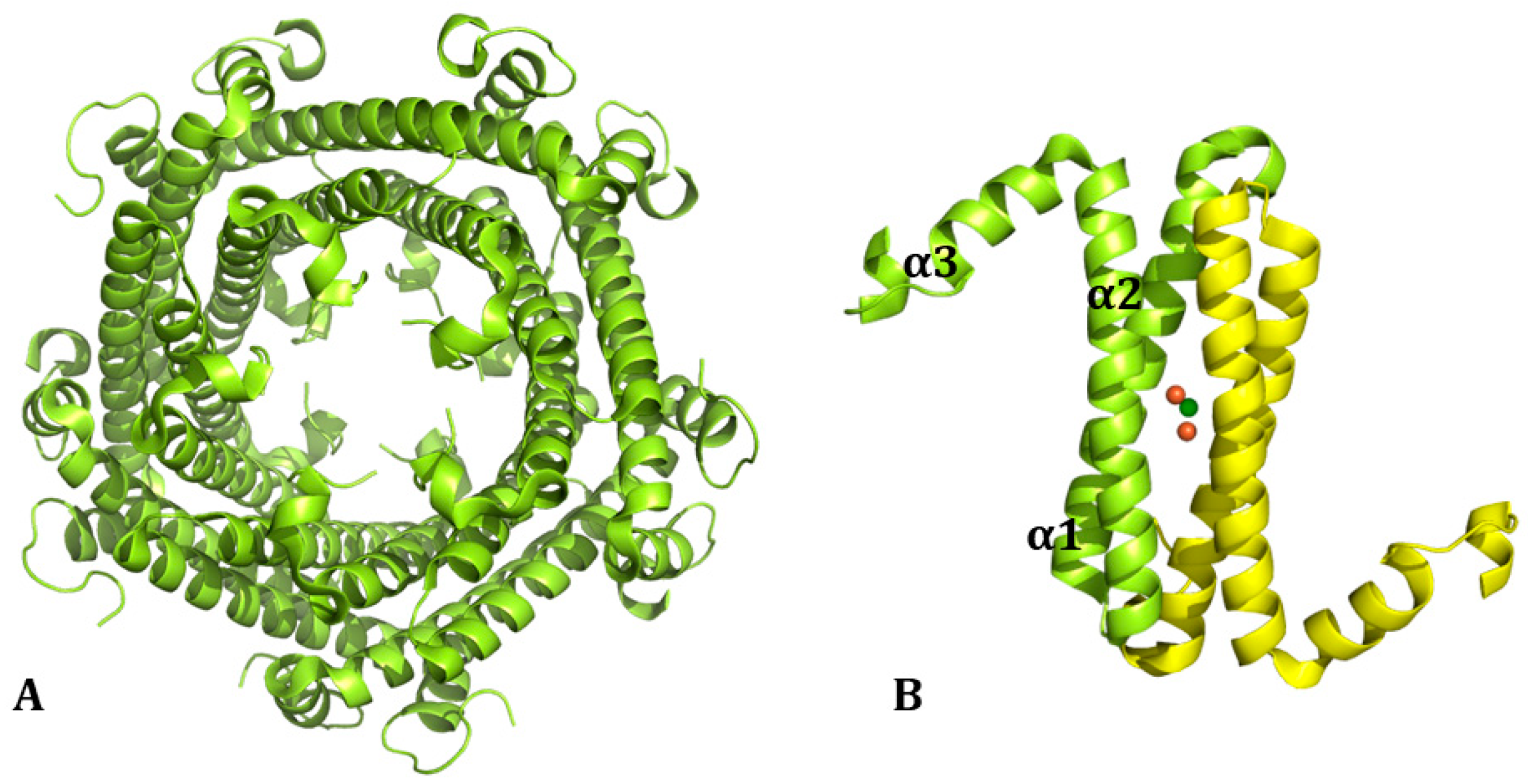 Molecules 29 04045 g002