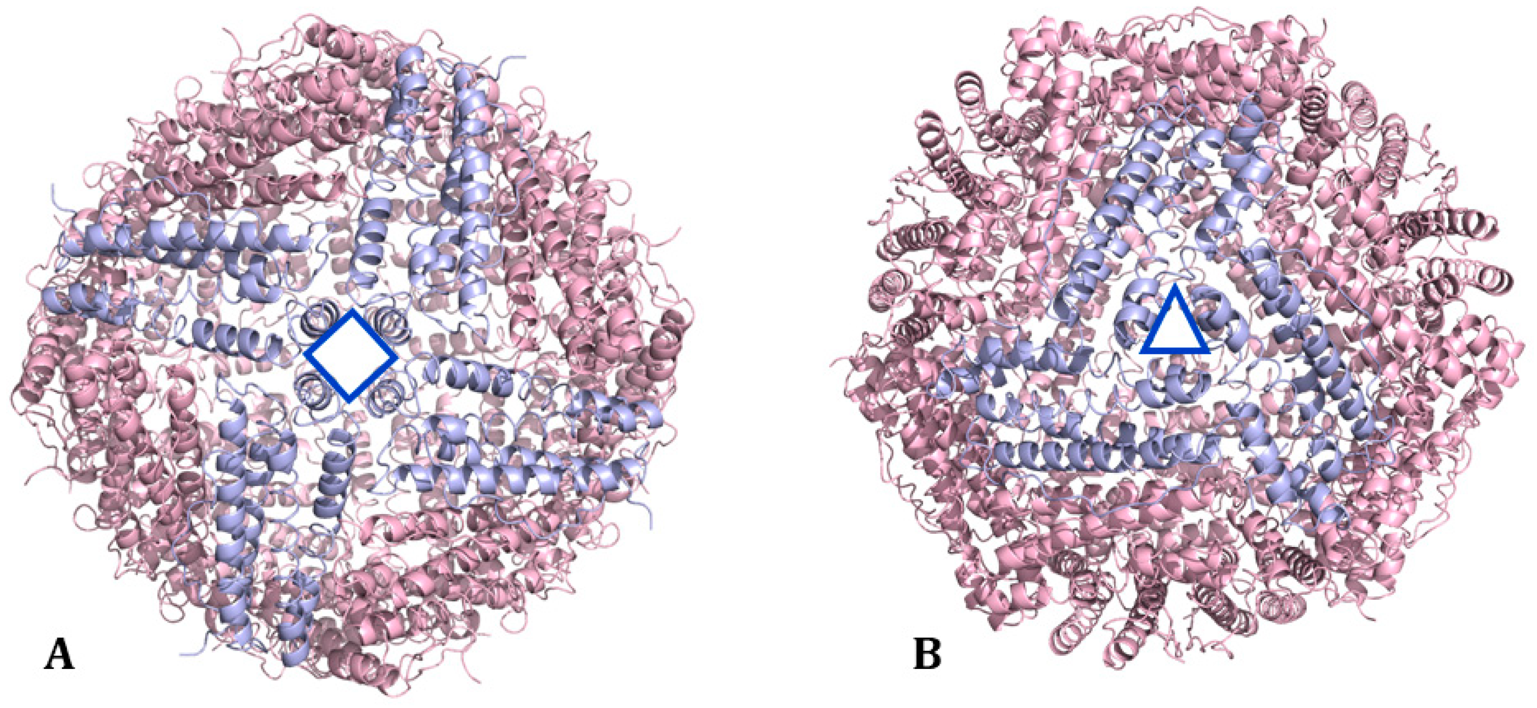Molecules 29 04045 g004