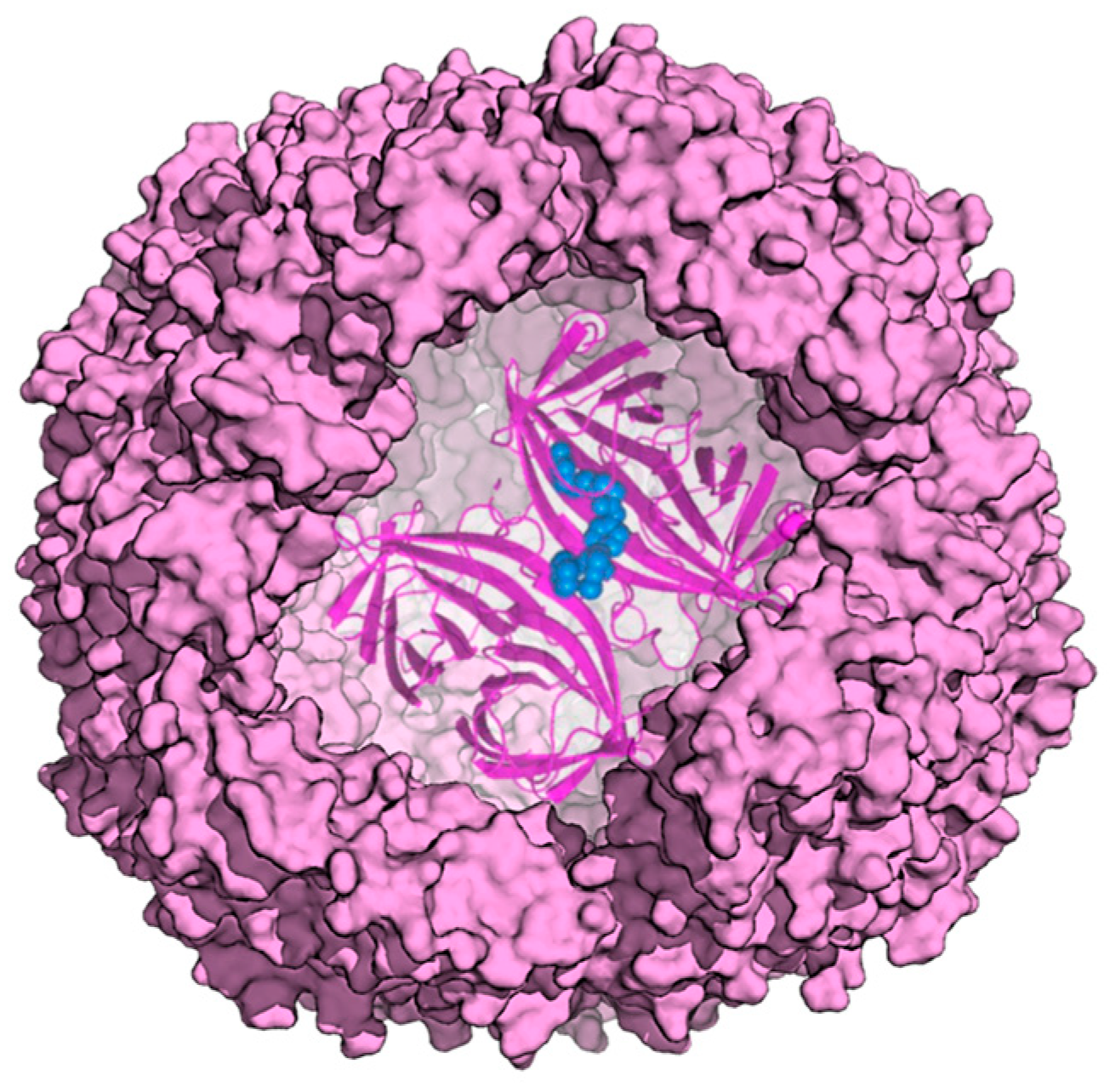 Molecules 29 04045 g010