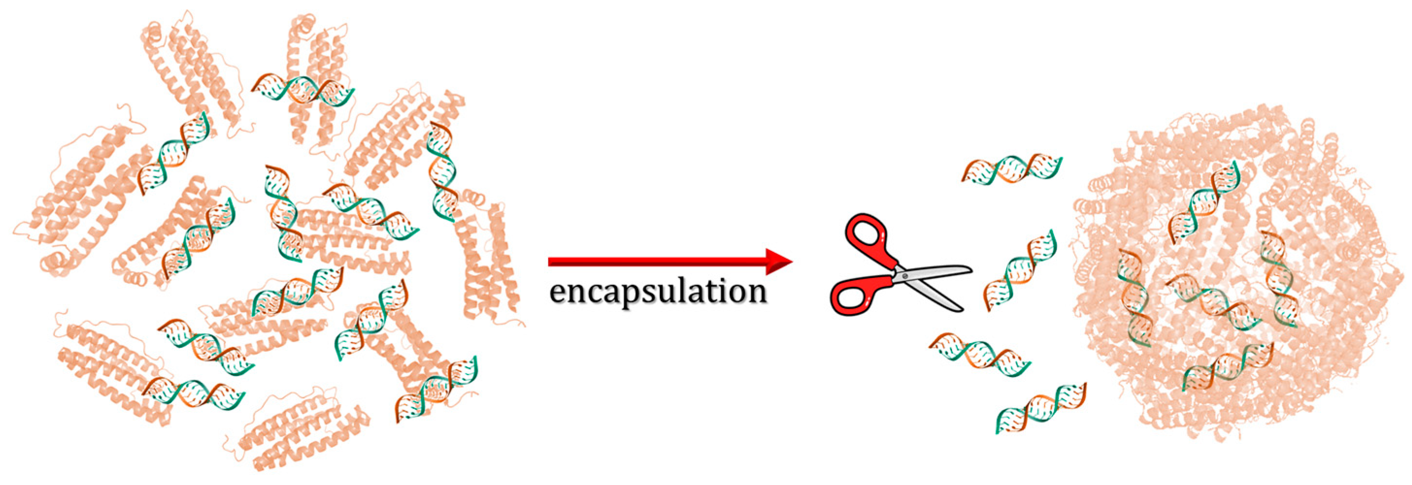 Molecules 29 04045 g011