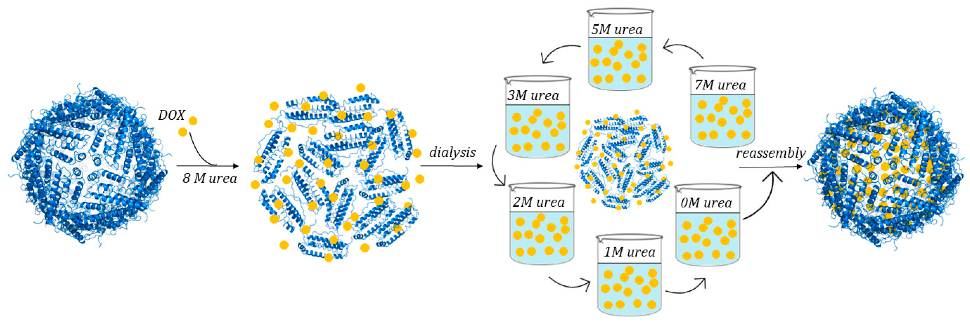 Molecules 29 04045 g013