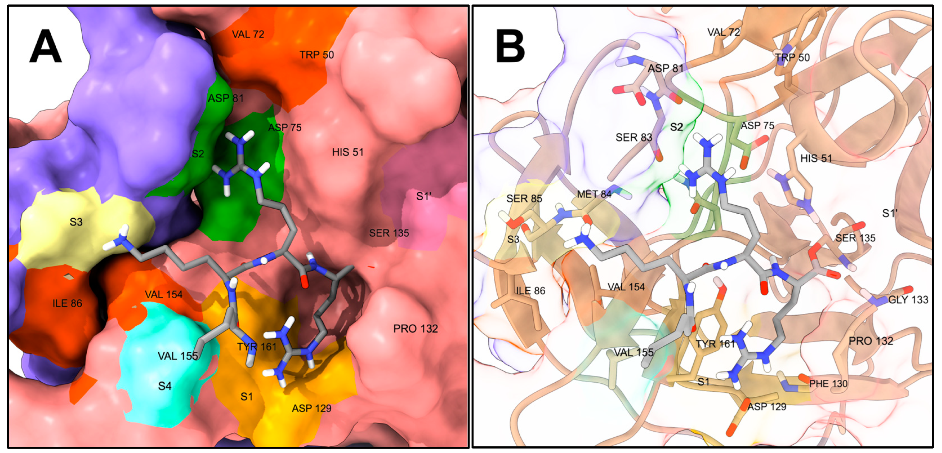 Molecules 29 04047 g003