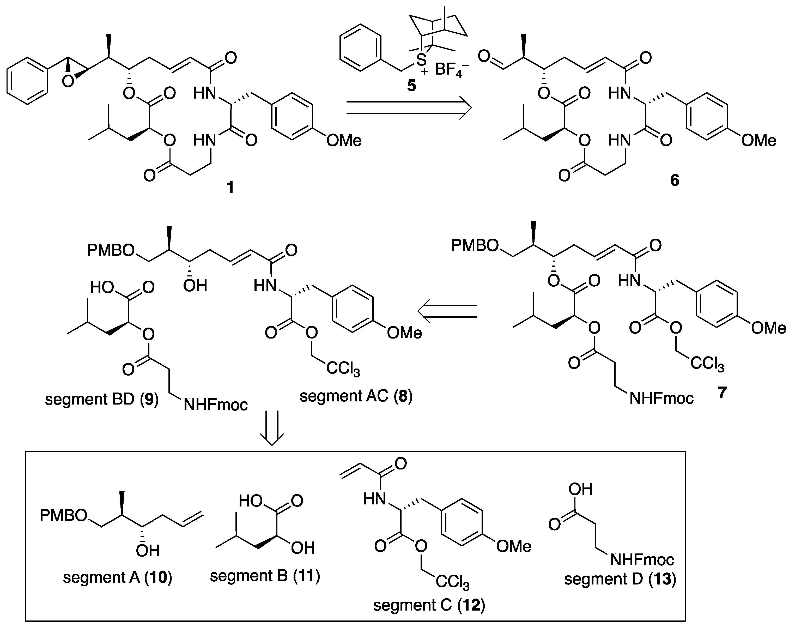 Molecules 29 04058 g003 Molecules 29 04058 g003