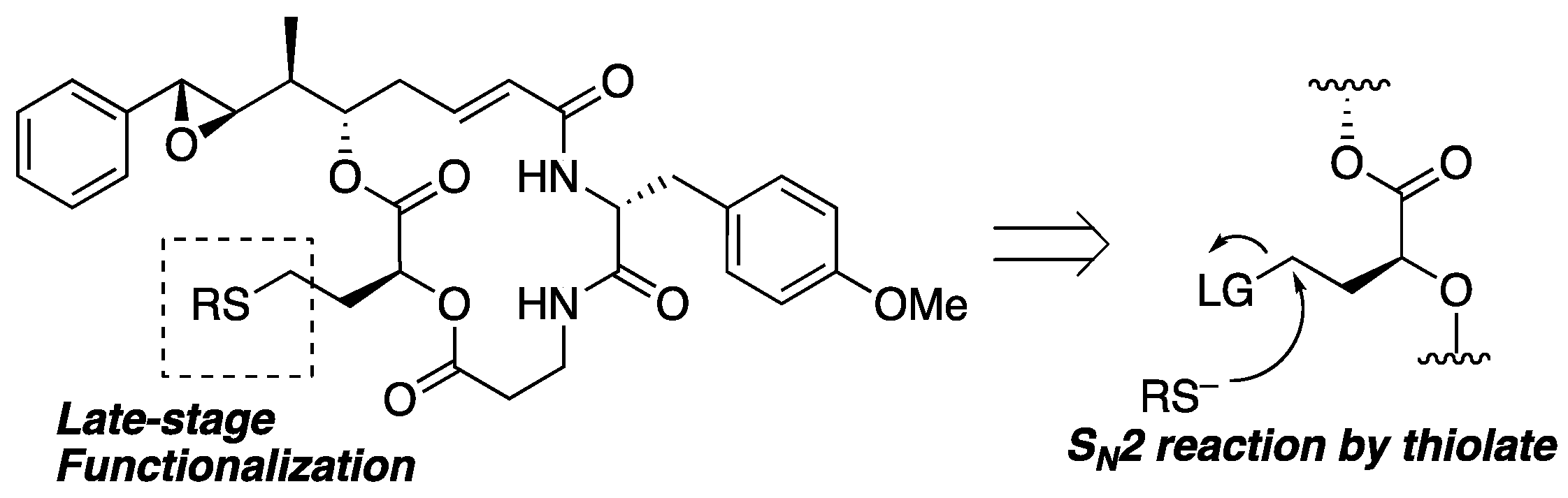 Molecules 29 04058 g004 Molecules 29 04058 g004