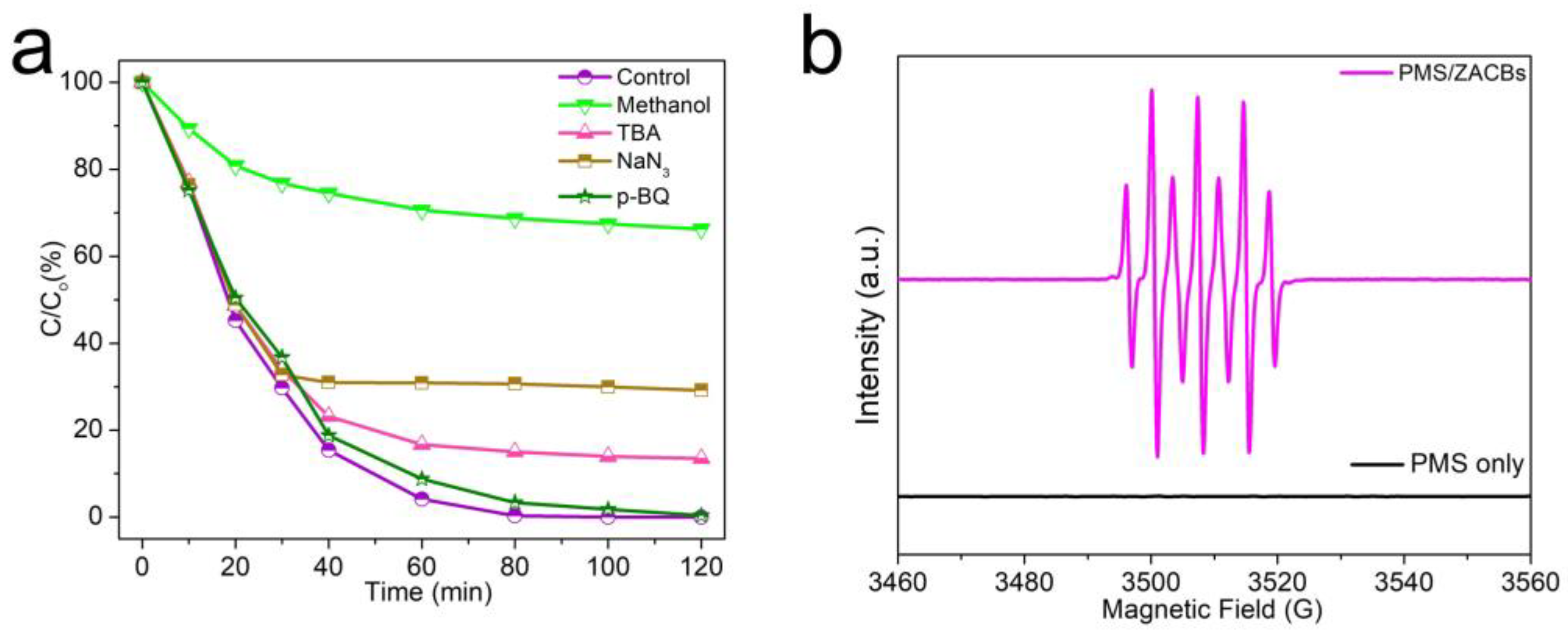 Molecules 29 04059 g006