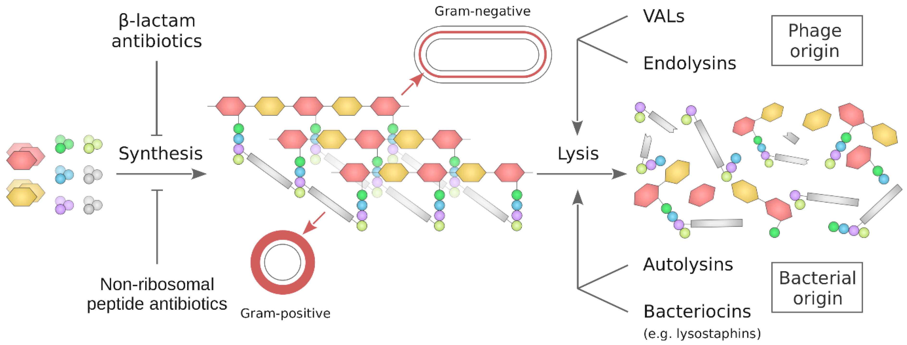 Molecules 29 04065 g001 Molecules 29 04065 g001