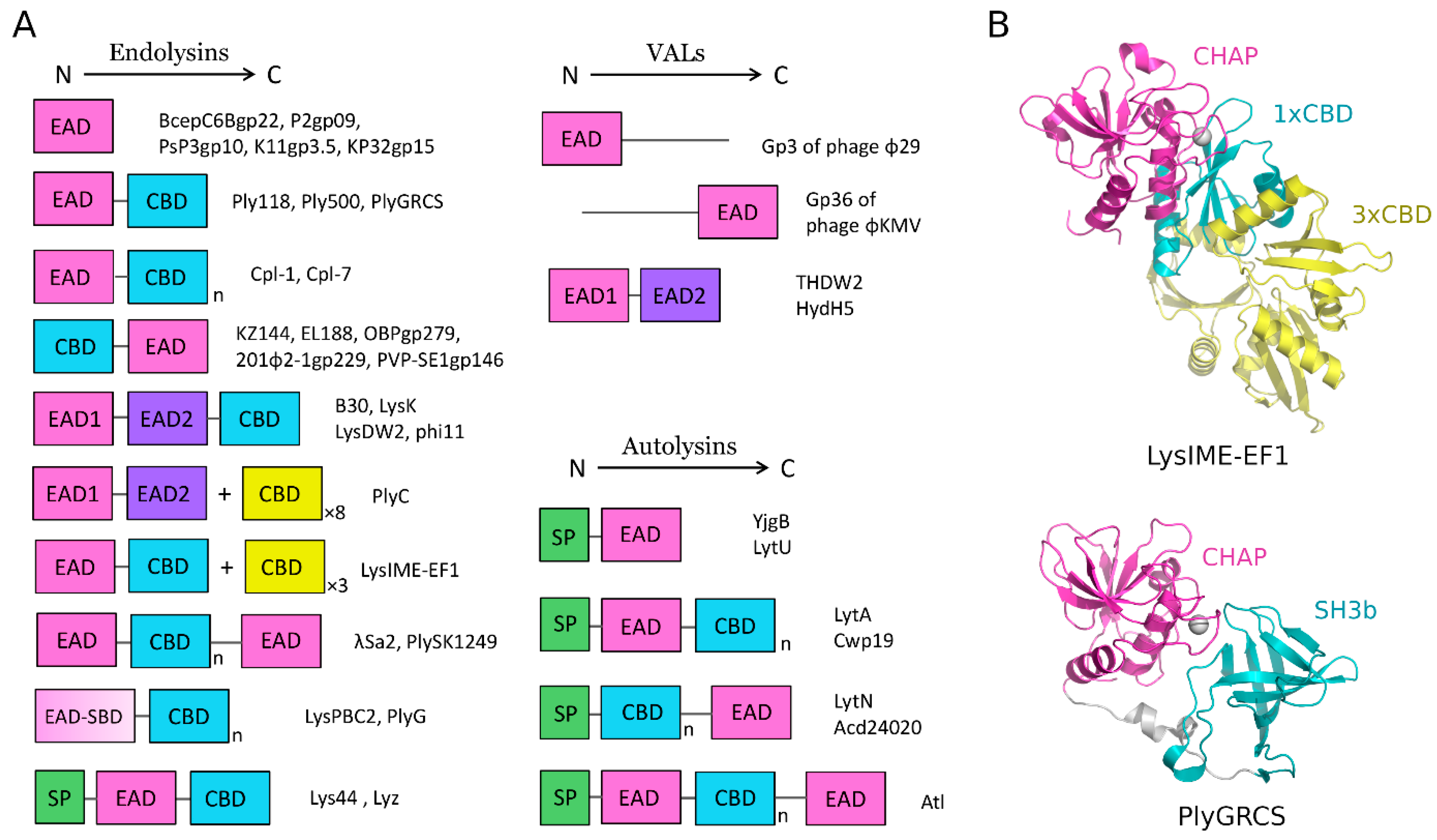 Molecules 29 04065 g005 Molecules 29 04065 g005