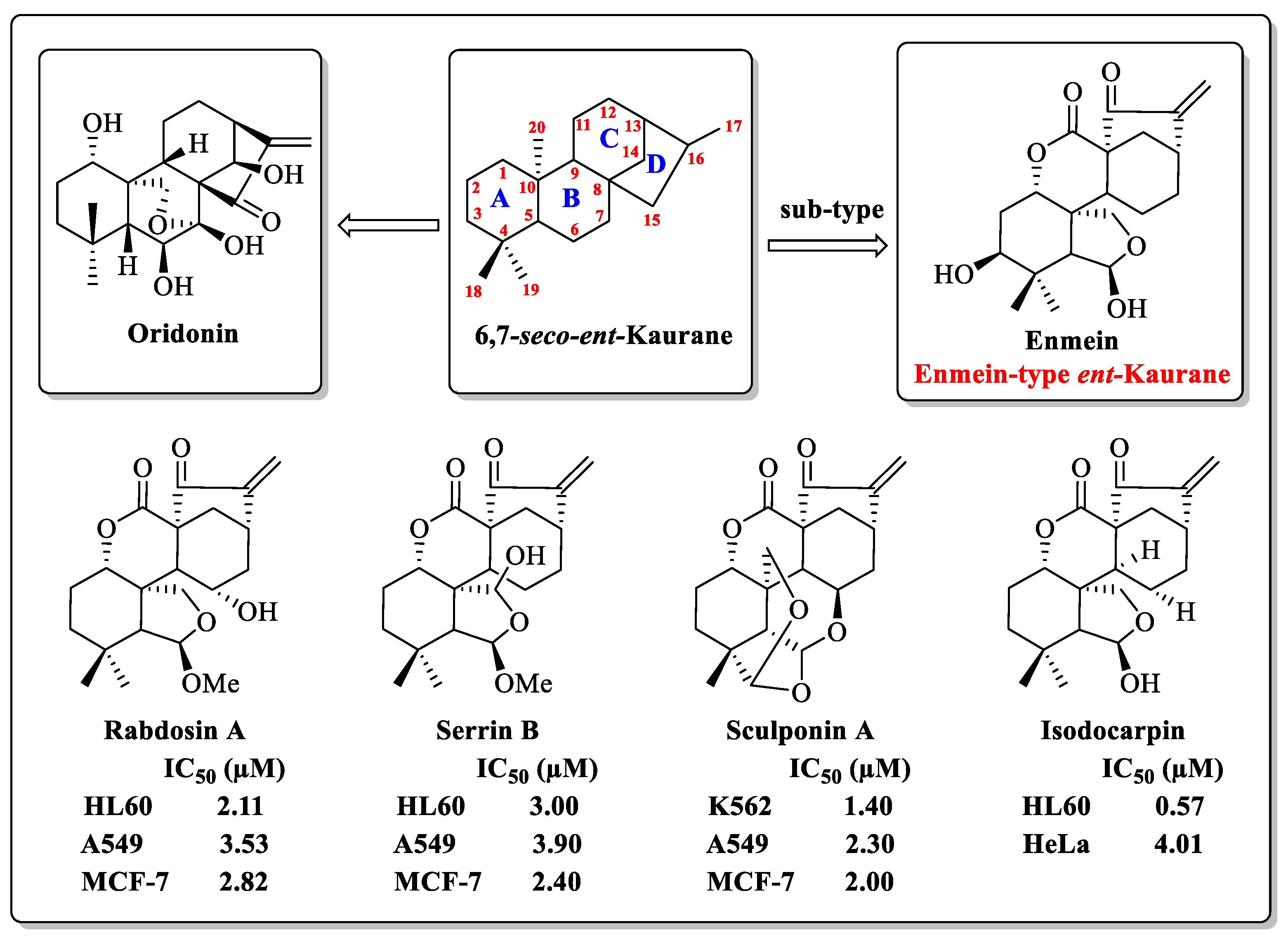 Molecules 29 04066 g001