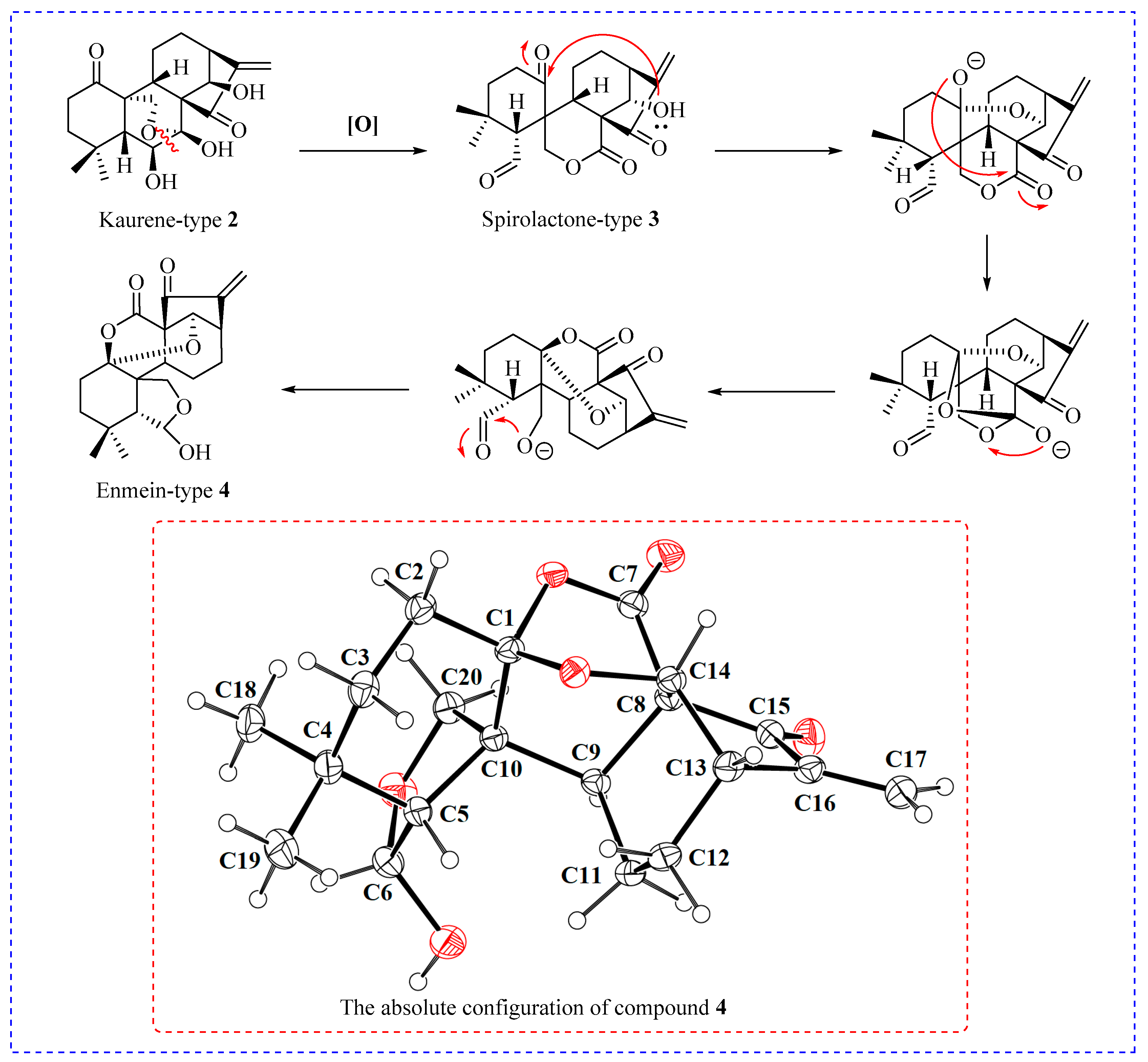 Molecules 29 04066 g002