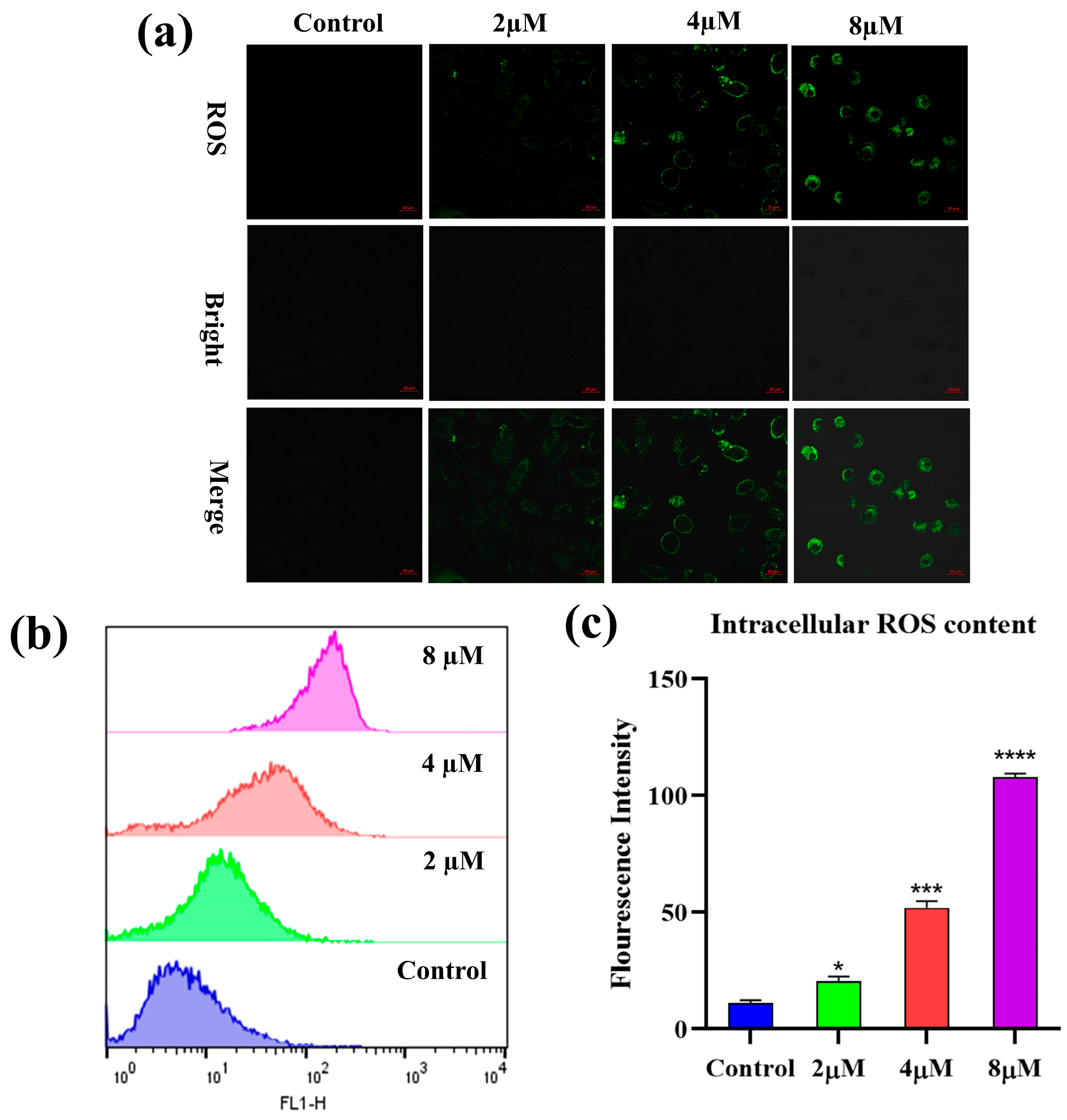 Molecules 29 04066 g005