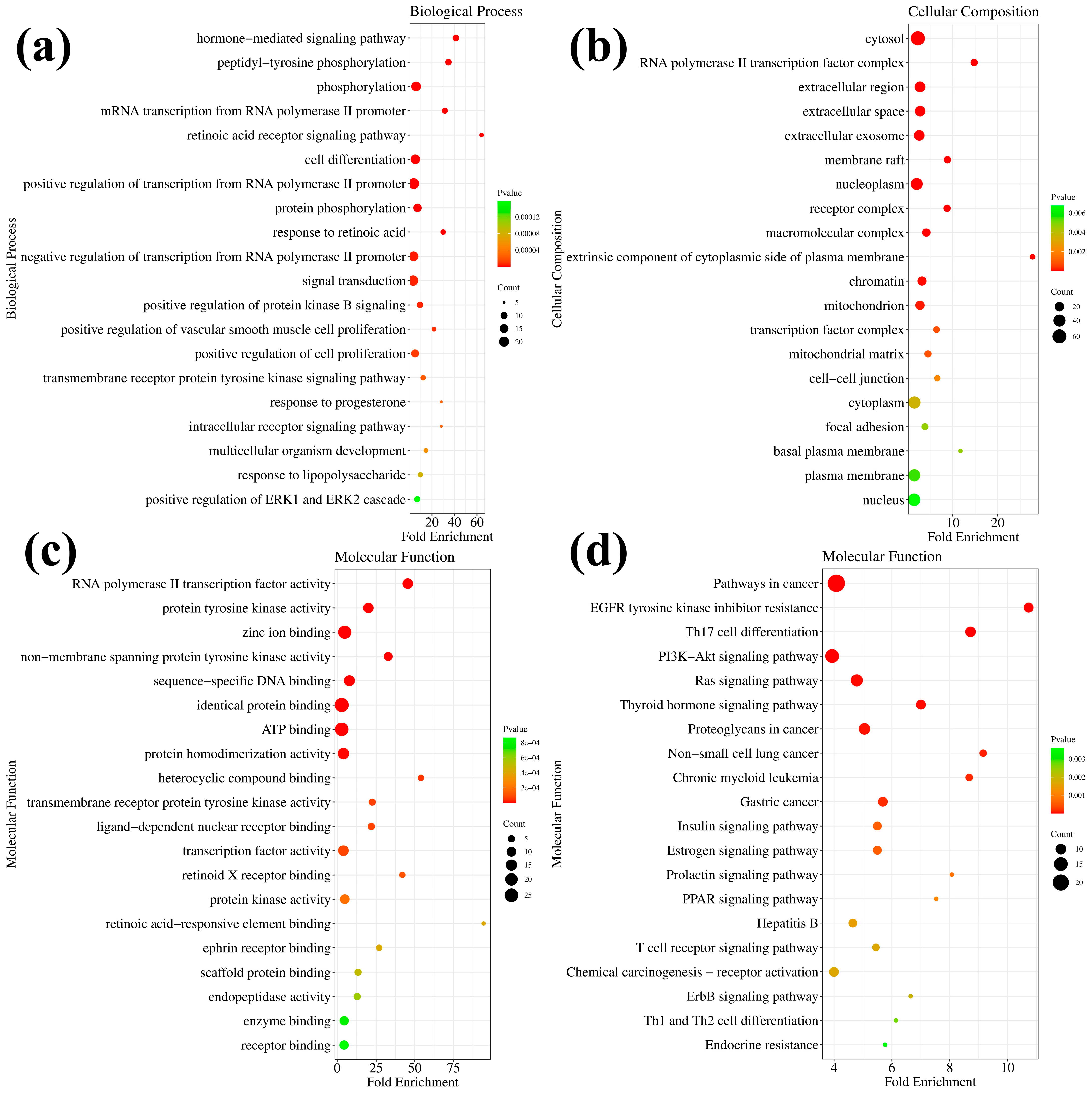Molecules 29 04066 g007