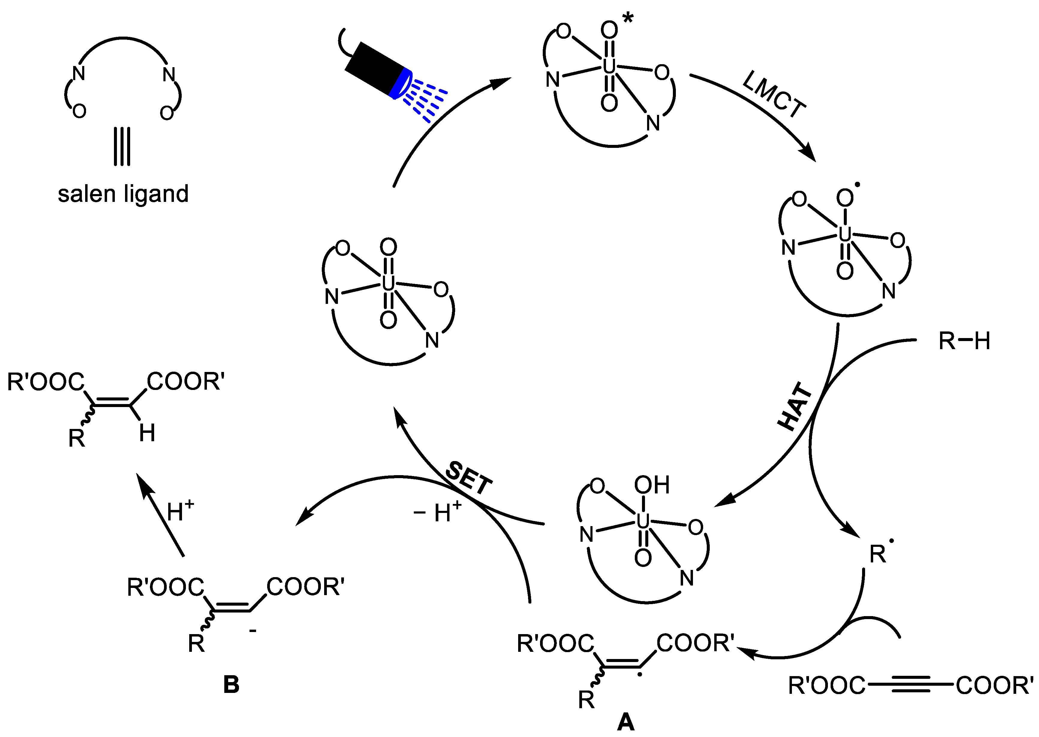 Molecules 29 04077 g003 Molecules 29 04077 g003
