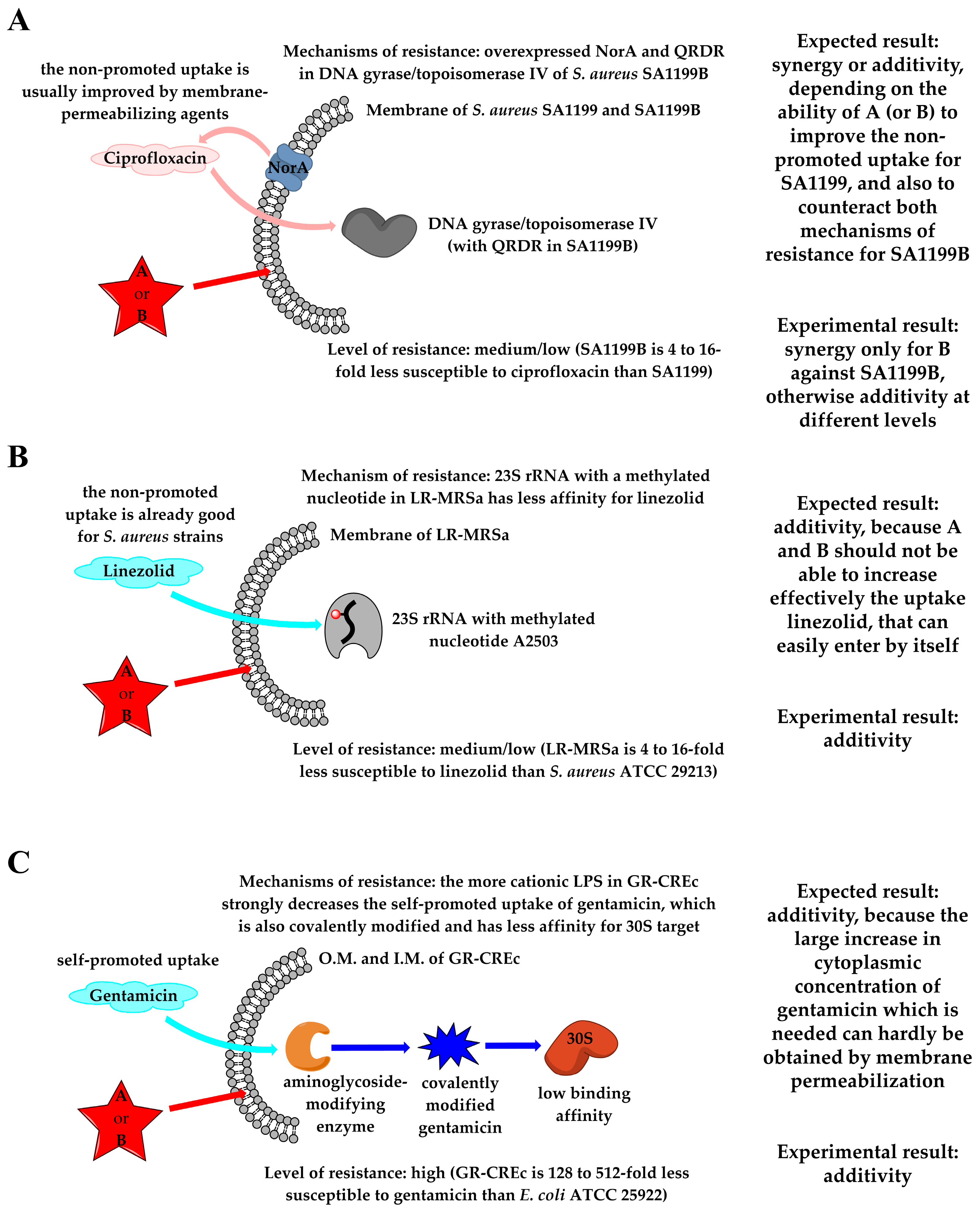 Molecules 29 04078 g009