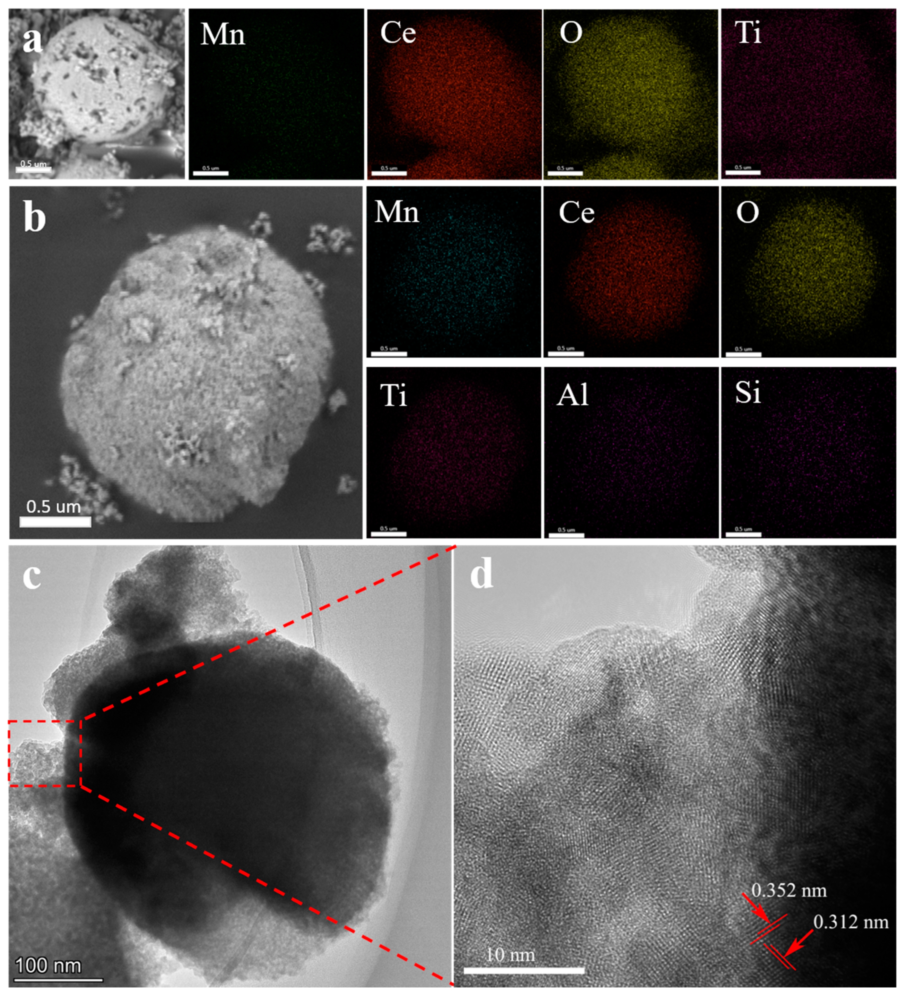 Molecules 29 04079 g004