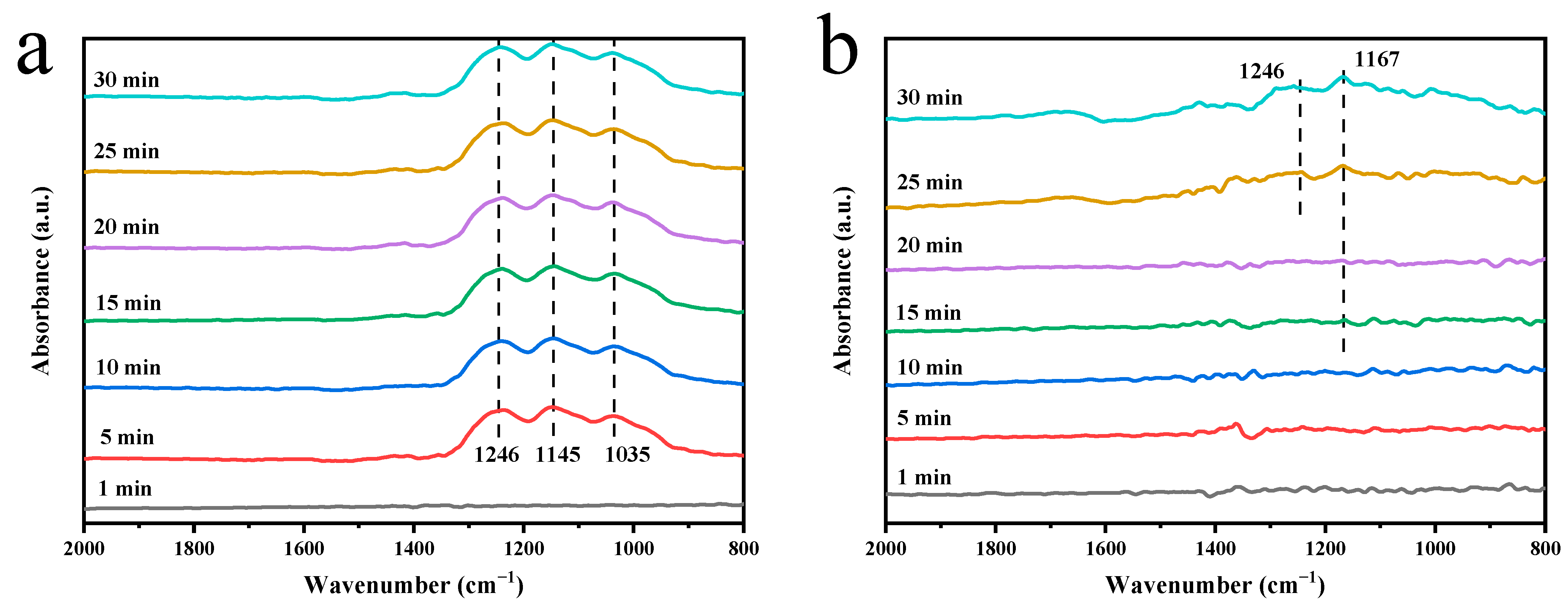 Molecules 29 04079 g008