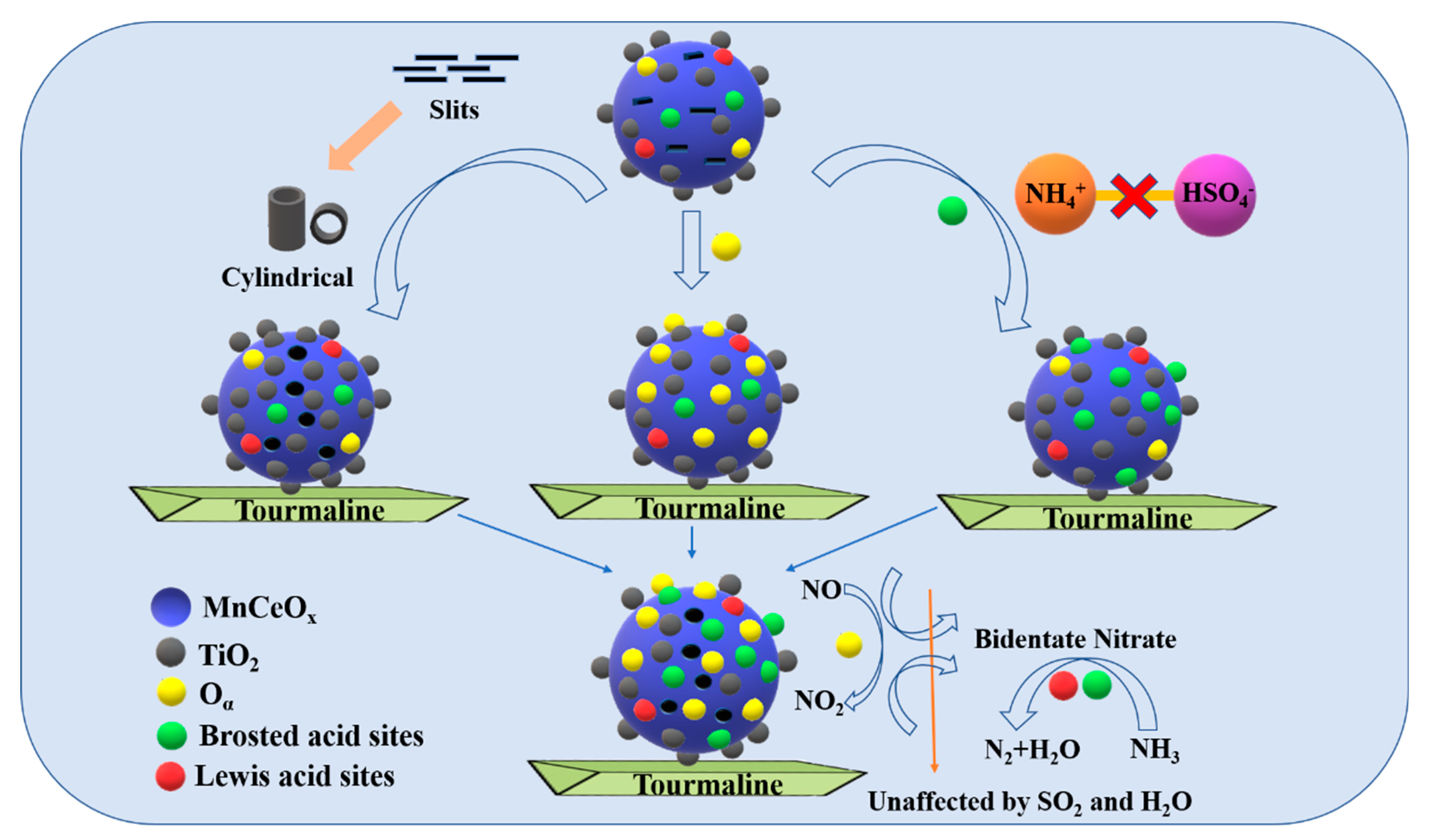 Molecules 29 04079 g013