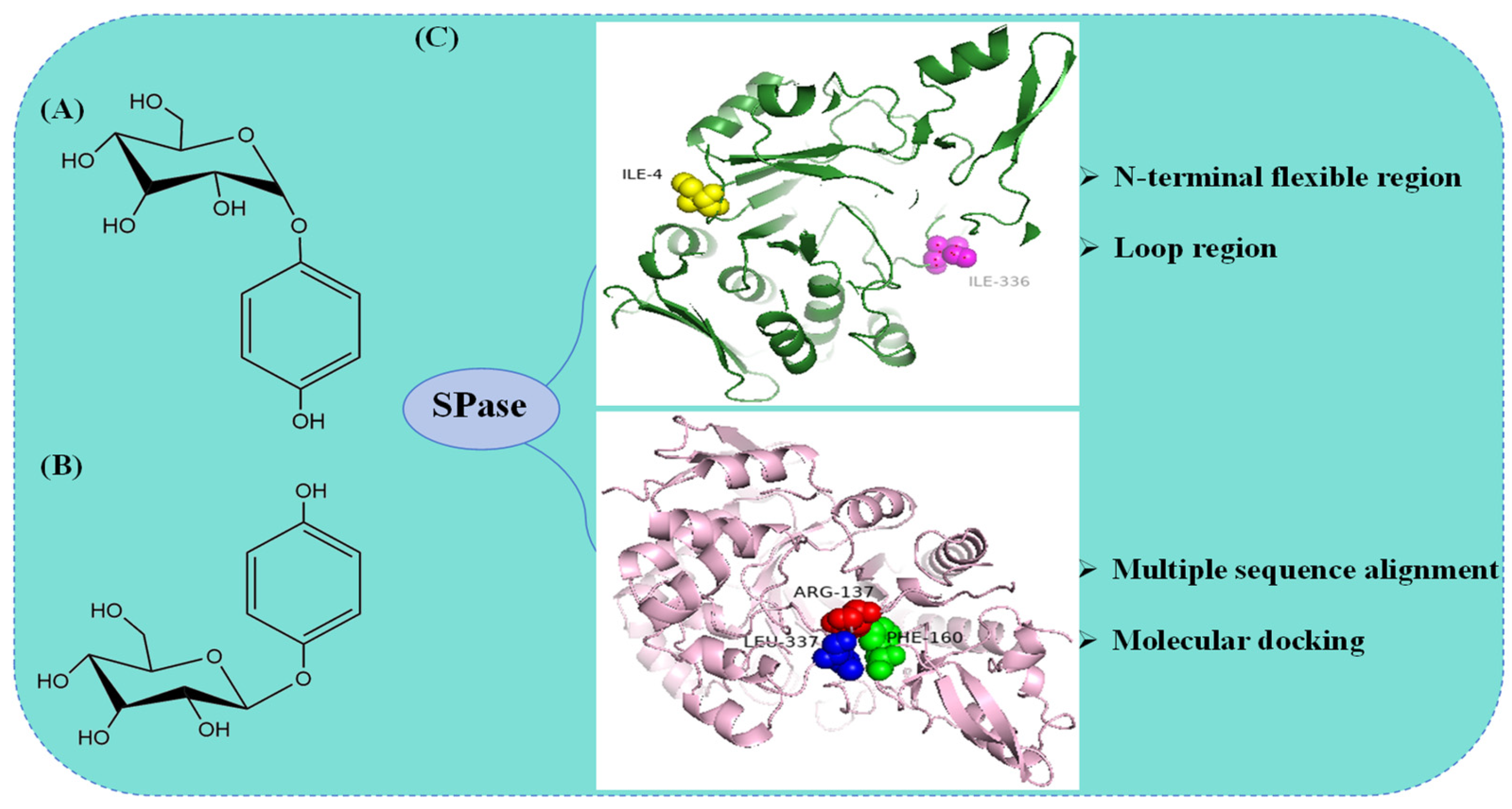 Molecules 29 04086 g004