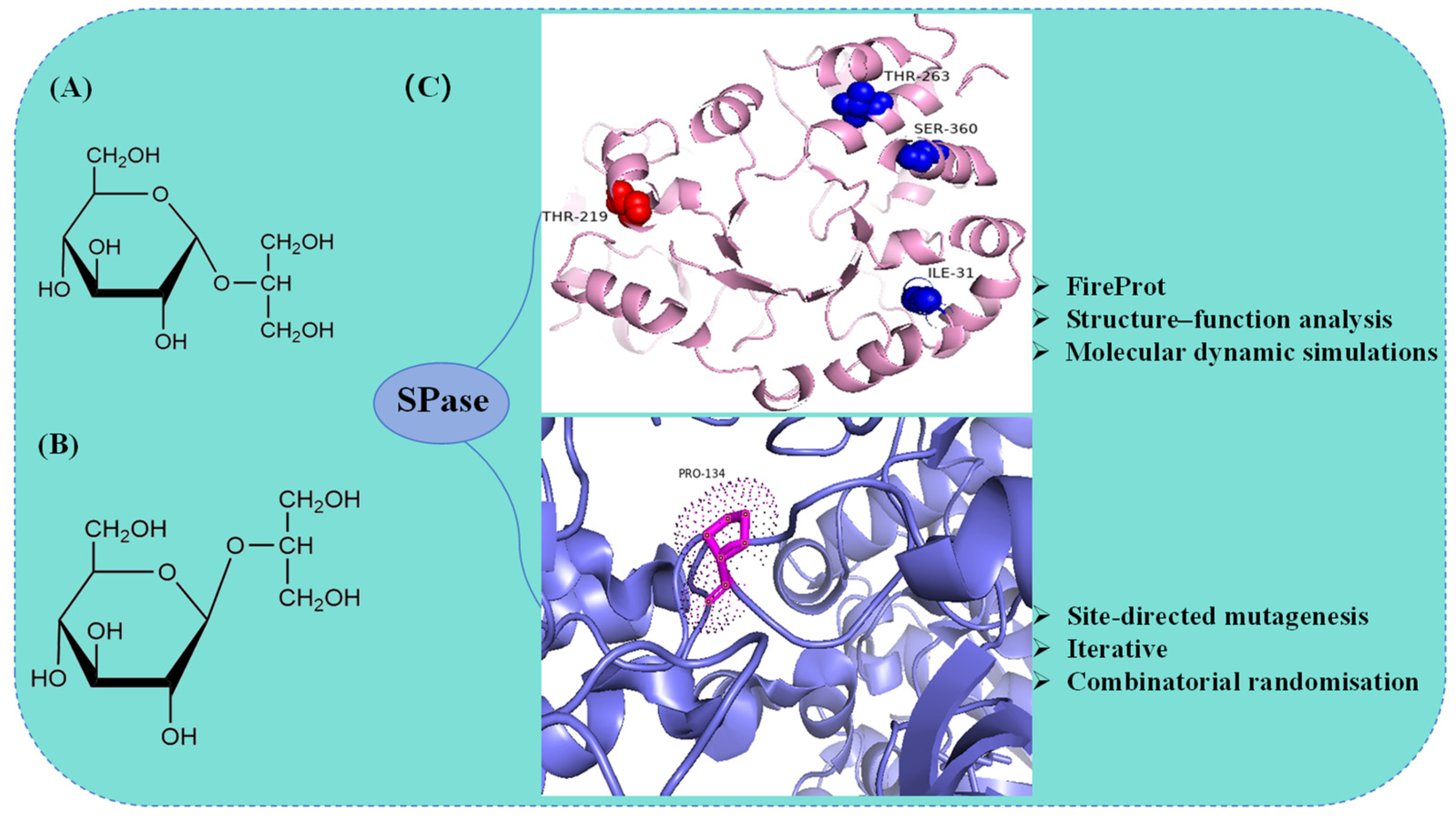 Molecules 29 04086 g005