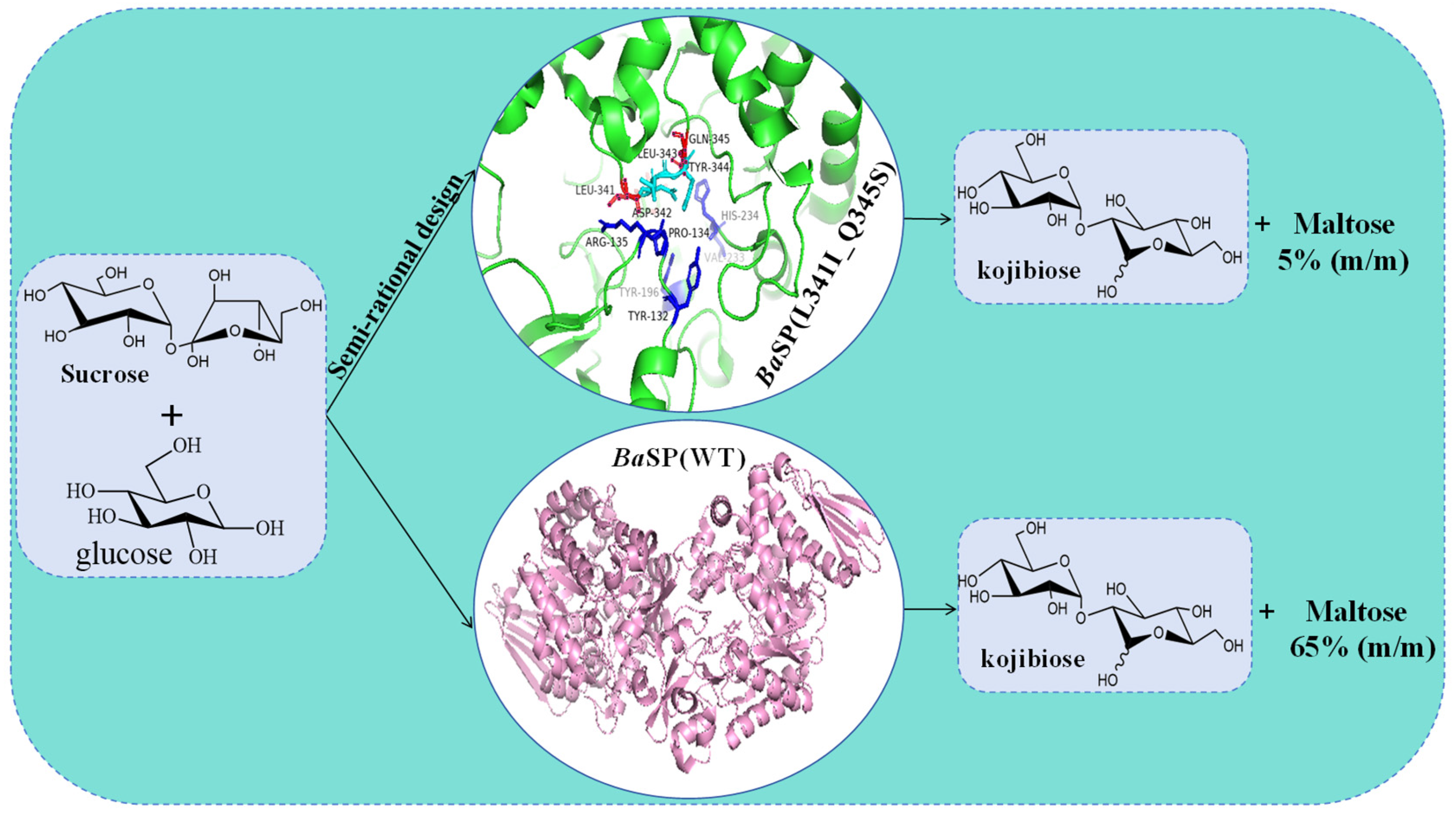 Molecules 29 04086 g007