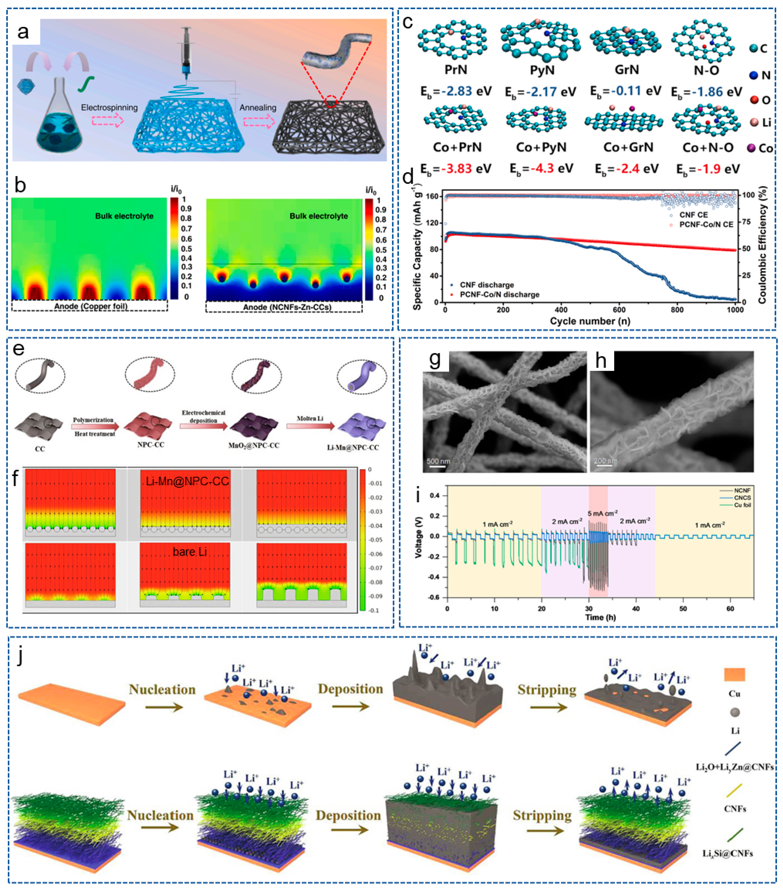 Molecules 29 04096 g007