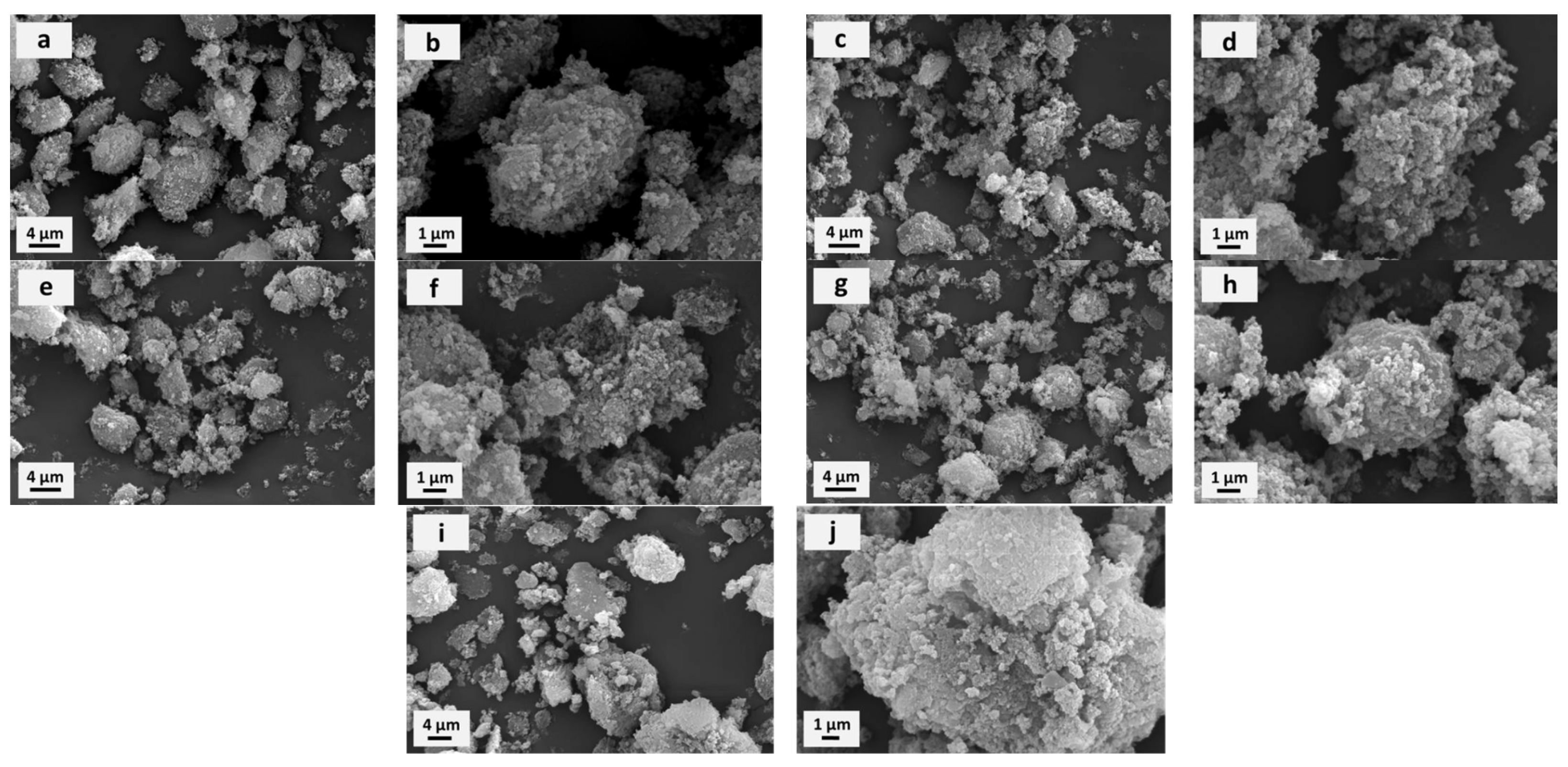 Molecules 29 04102 g002