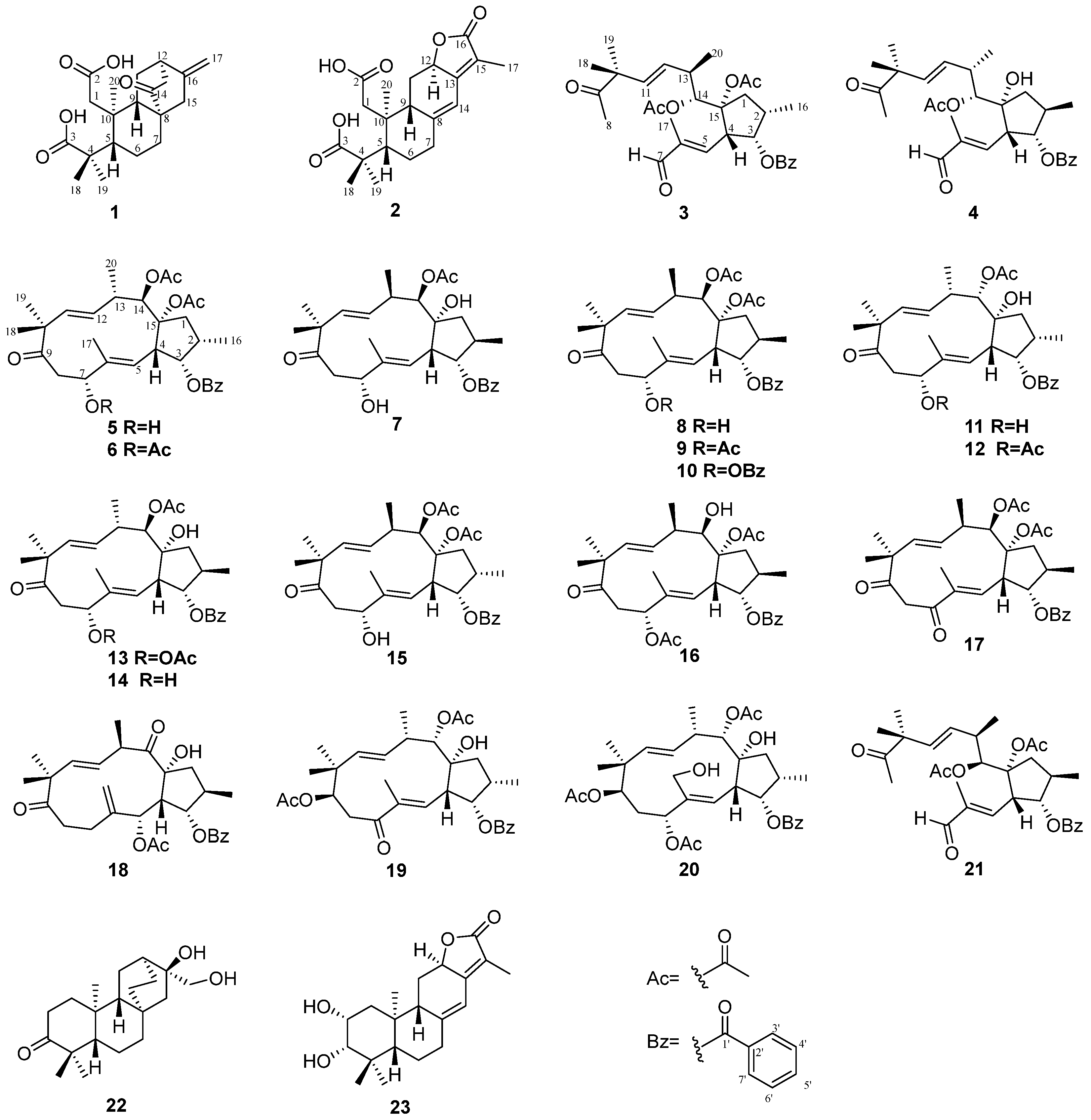 Molecules 29 04104 g001