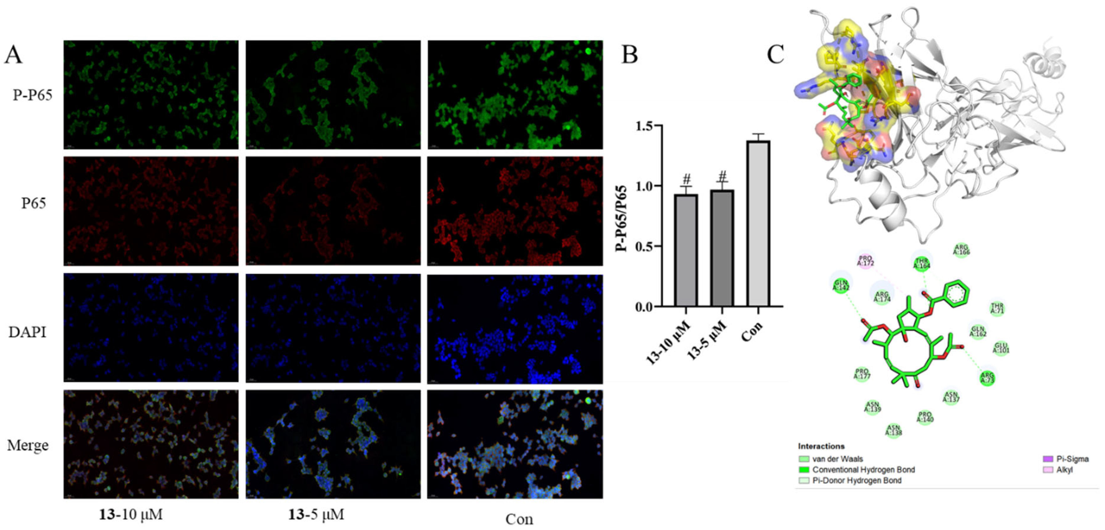 Molecules 29 04104 g007